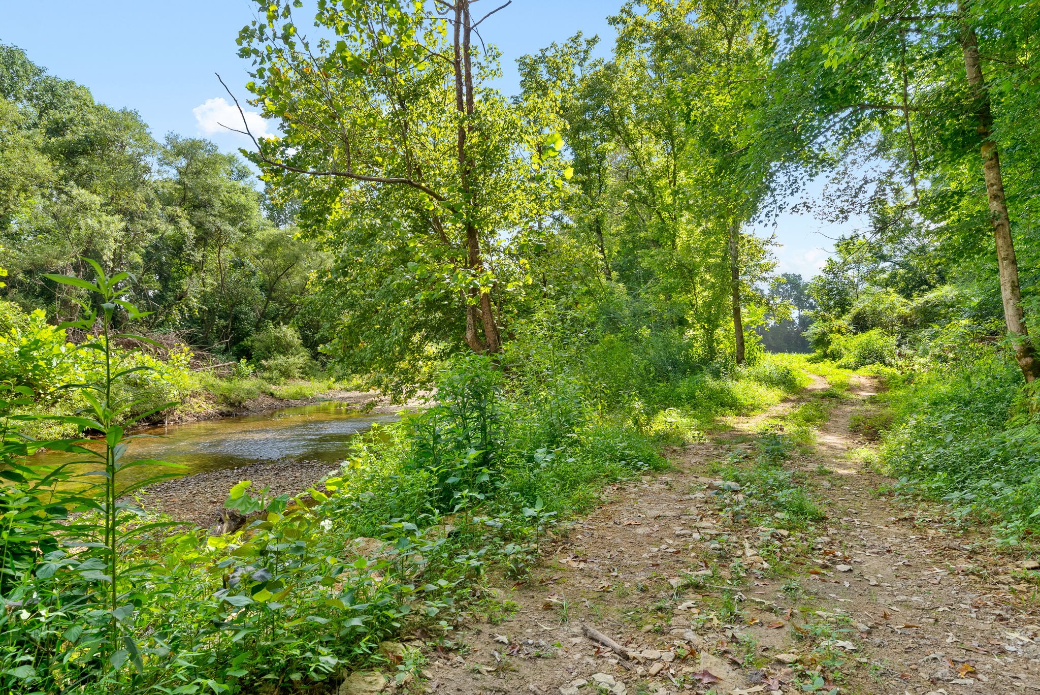 0 Edwards Ct Property Photo 89