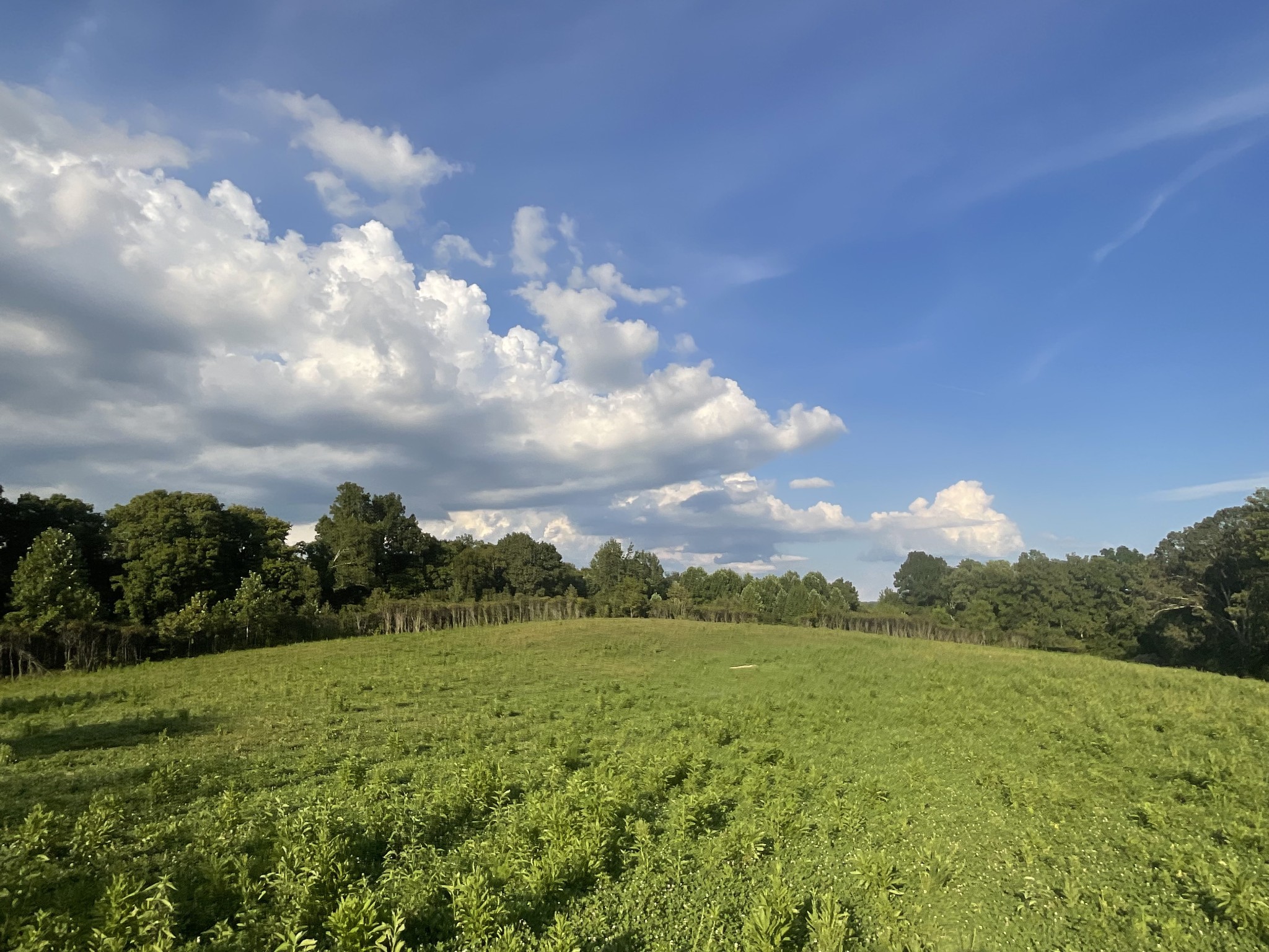 0 Edwards Ct Property Photo 90