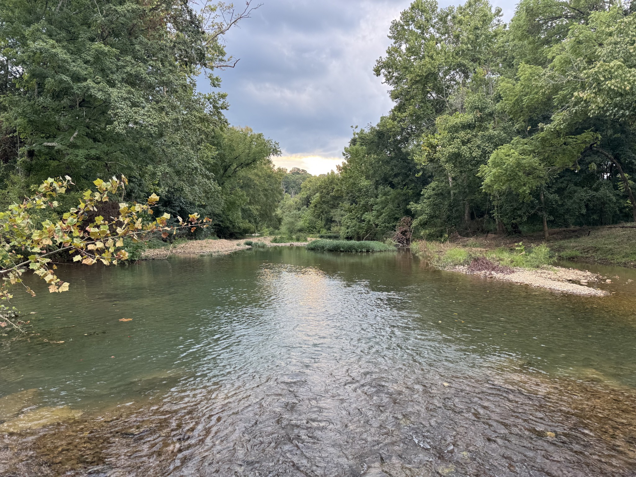 0 Edwards Ct Property Photo 93