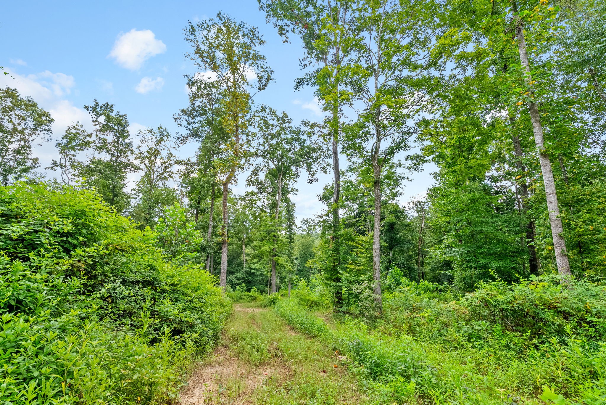 0 Edwards Ct Property Photo 95