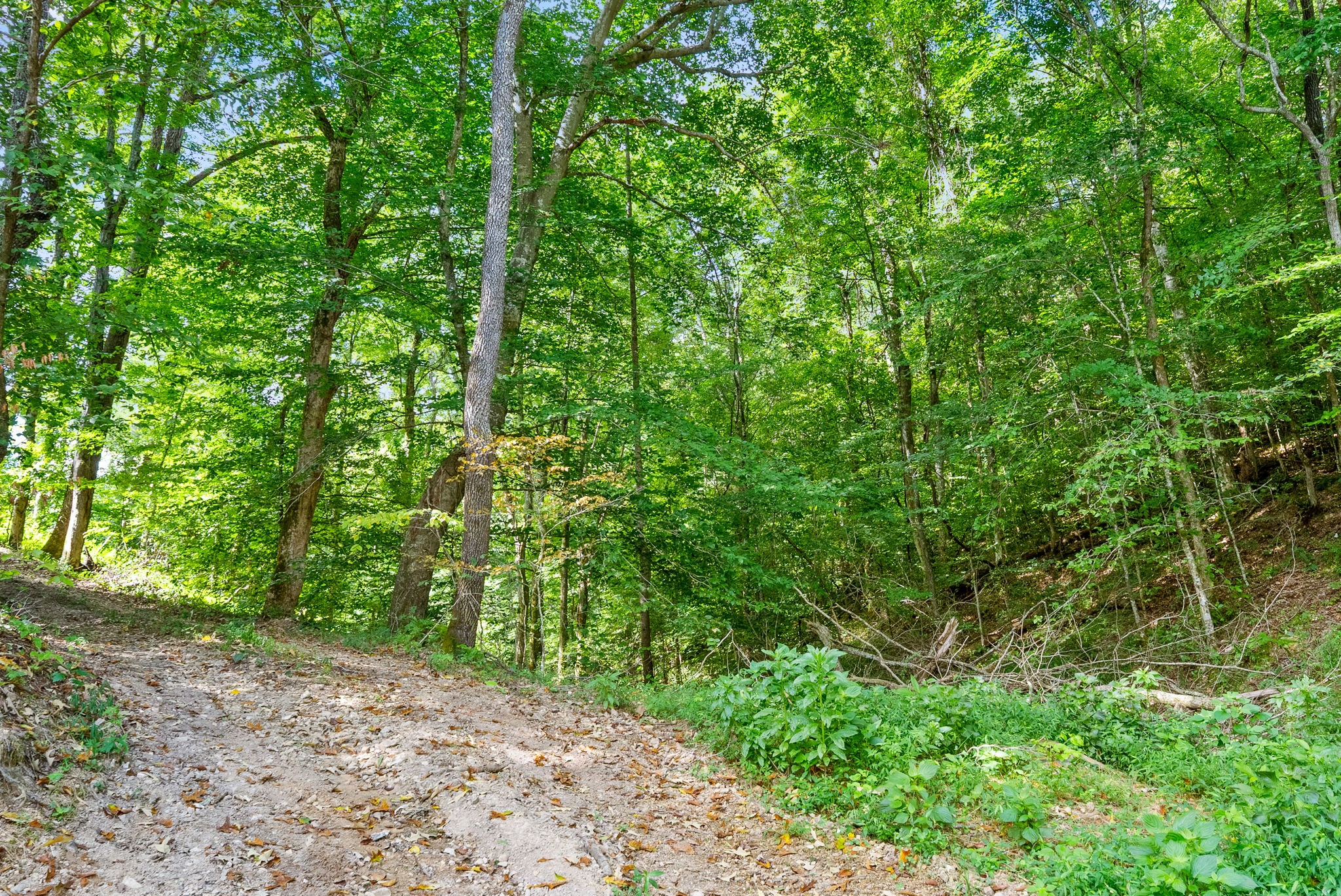 0 Edwards Ct Property Photo 97