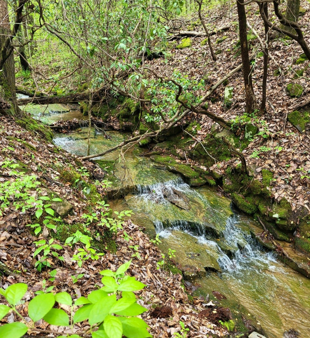 9004 Hondo Loop Property Photo 1