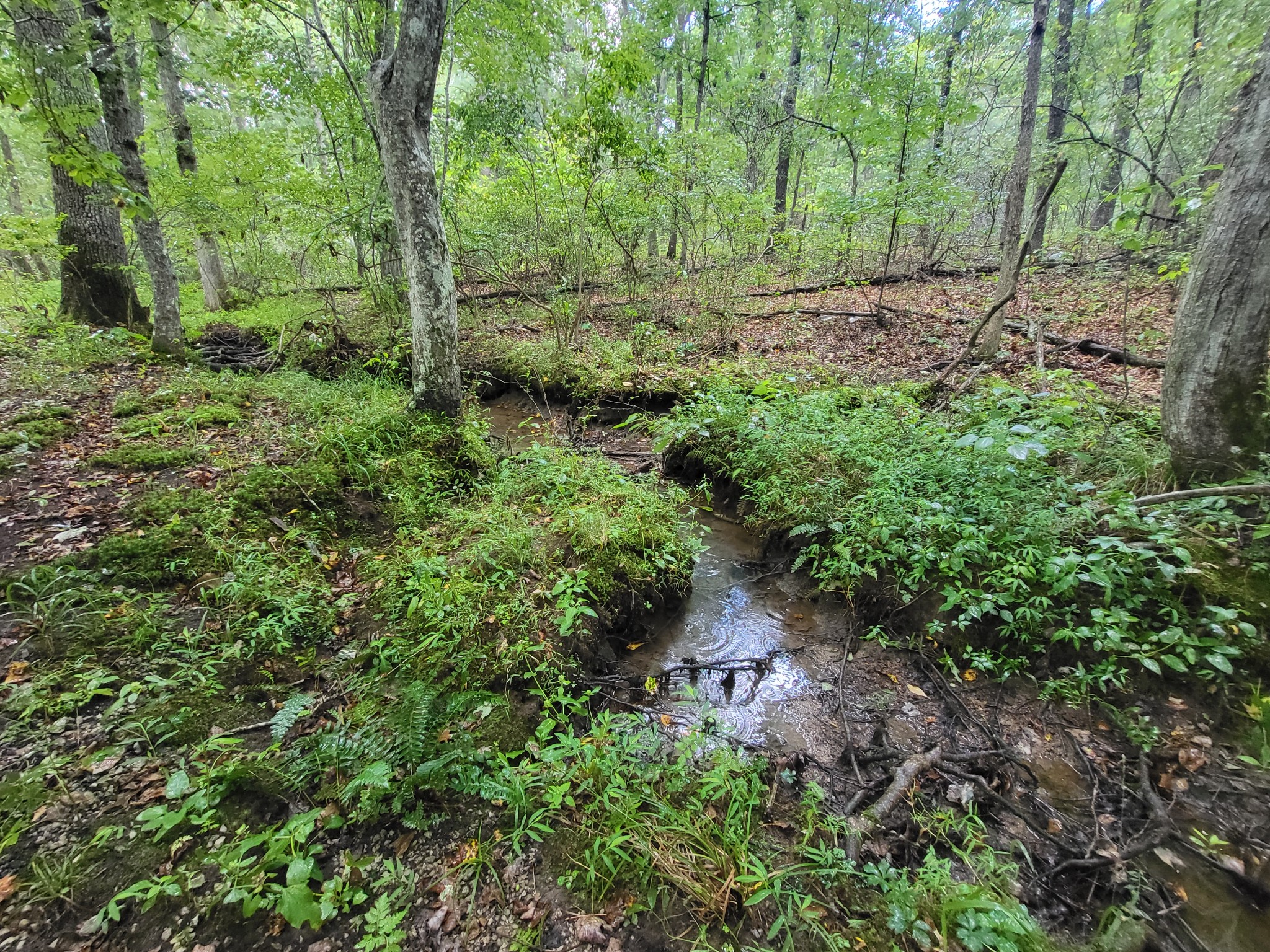 9004 Hondo Loop Property Photo 2
