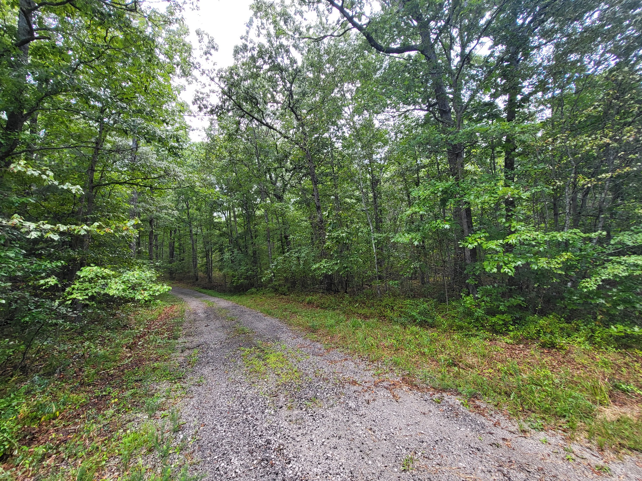 9004 Hondo Loop Property Photo 3