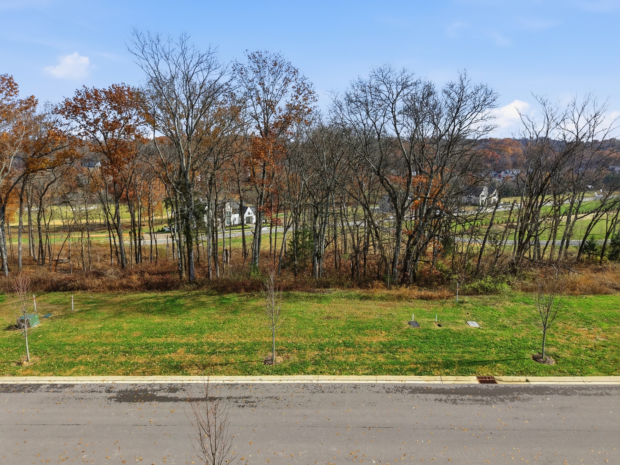 8514 Blanton Ct Property Photo 13