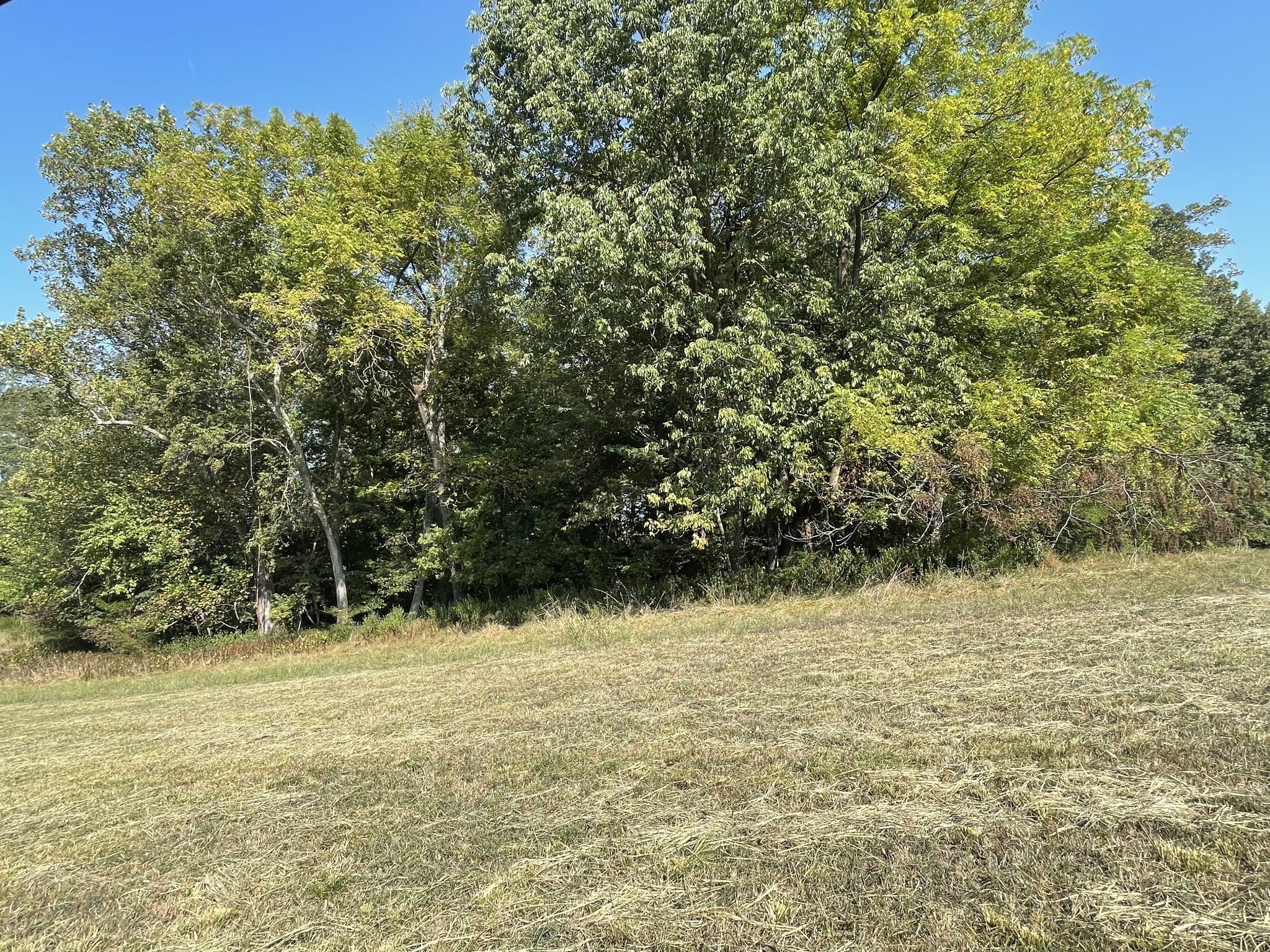 2 Ford Road Property Photo 3