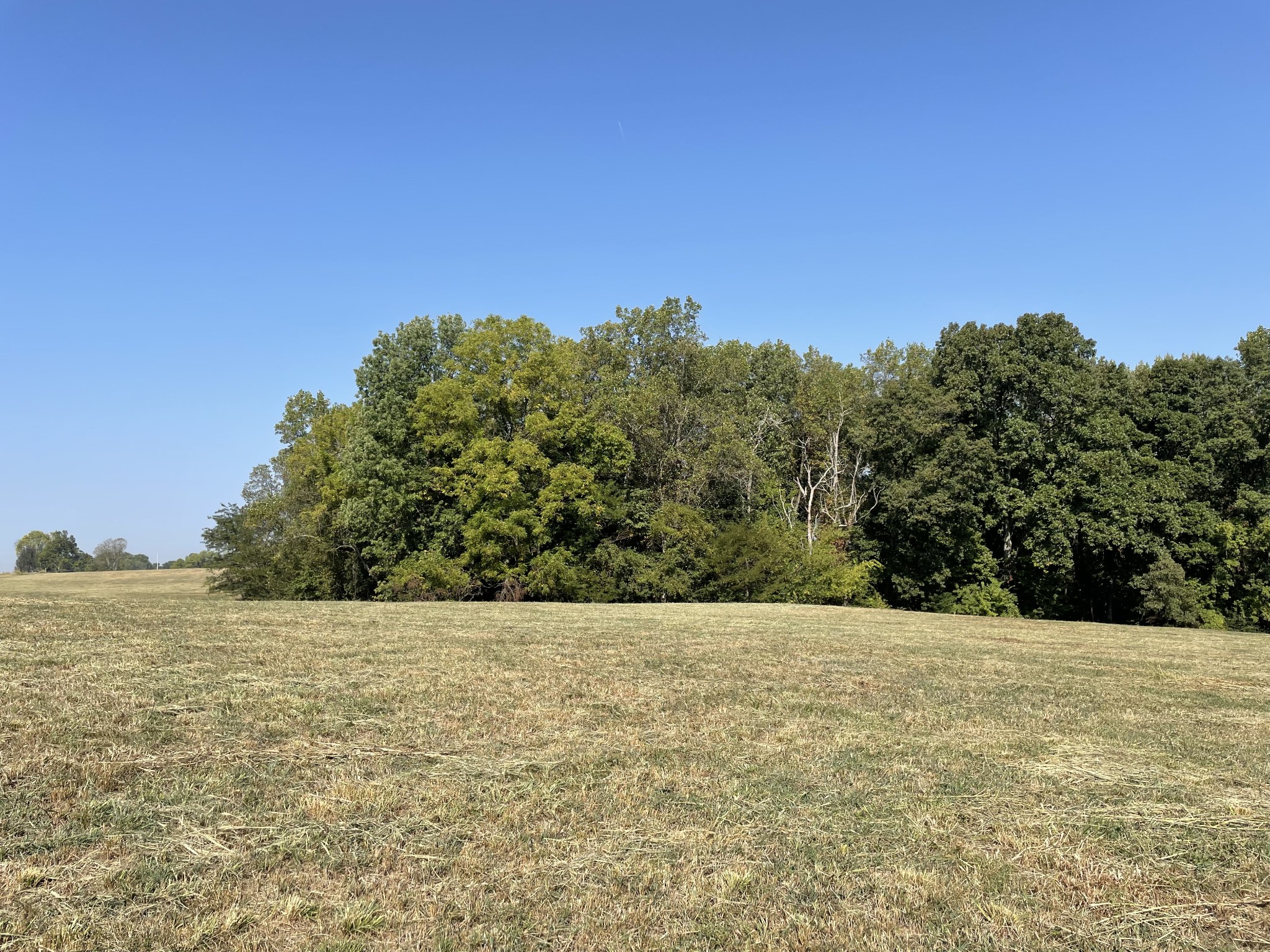 2 Ford Road Property Photo 4