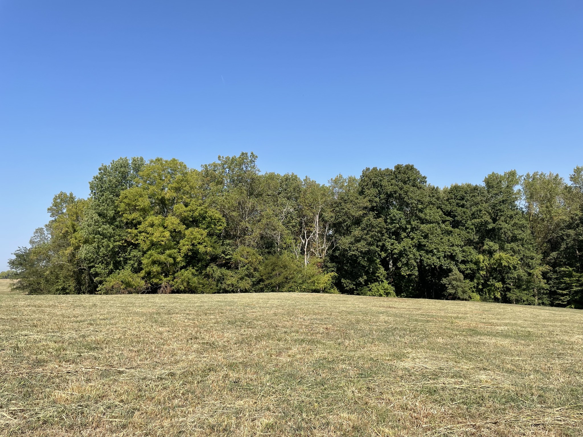 2 Ford Road Property Photo 5