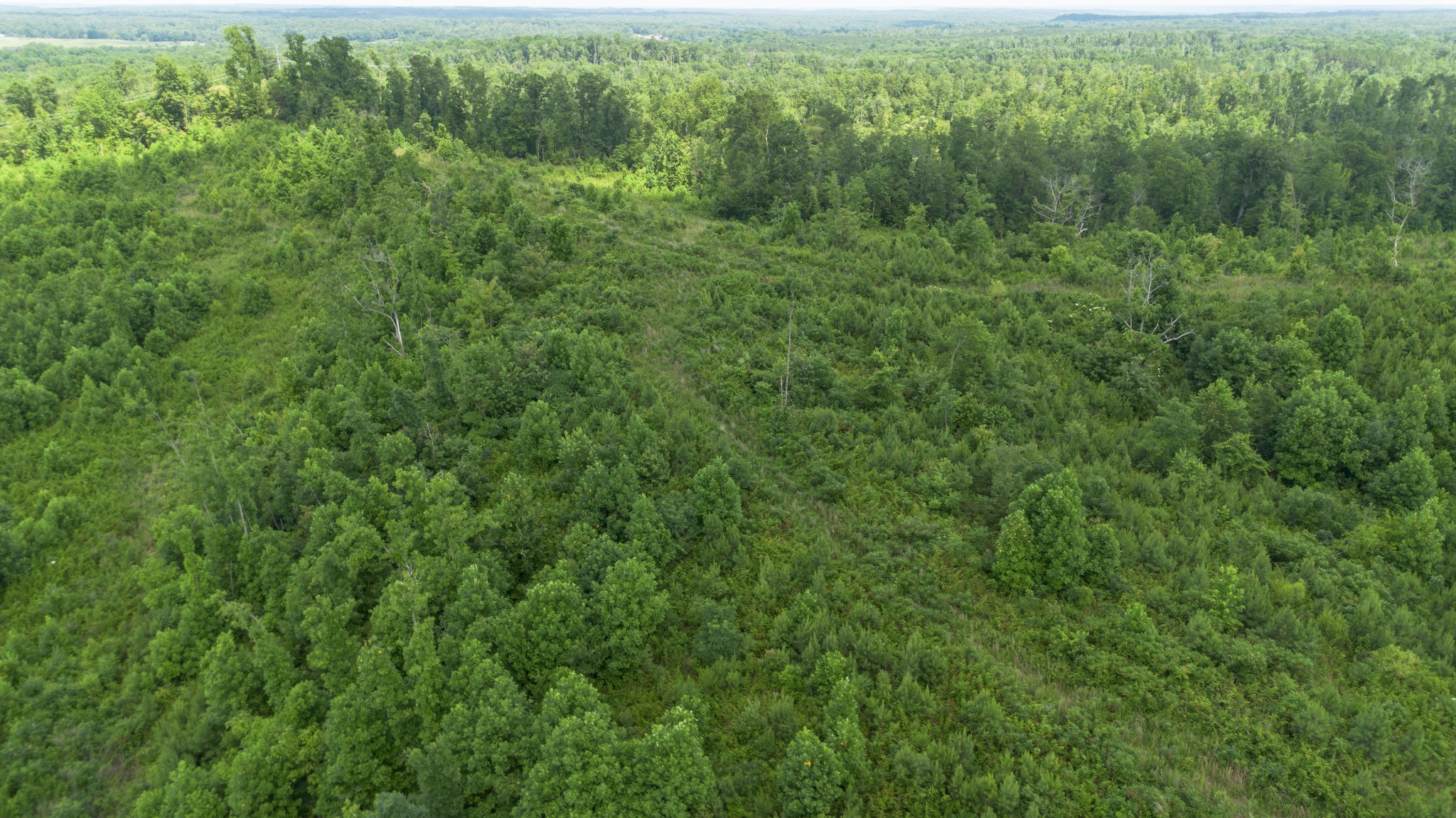 0 Tucker Rd Property Photo 2