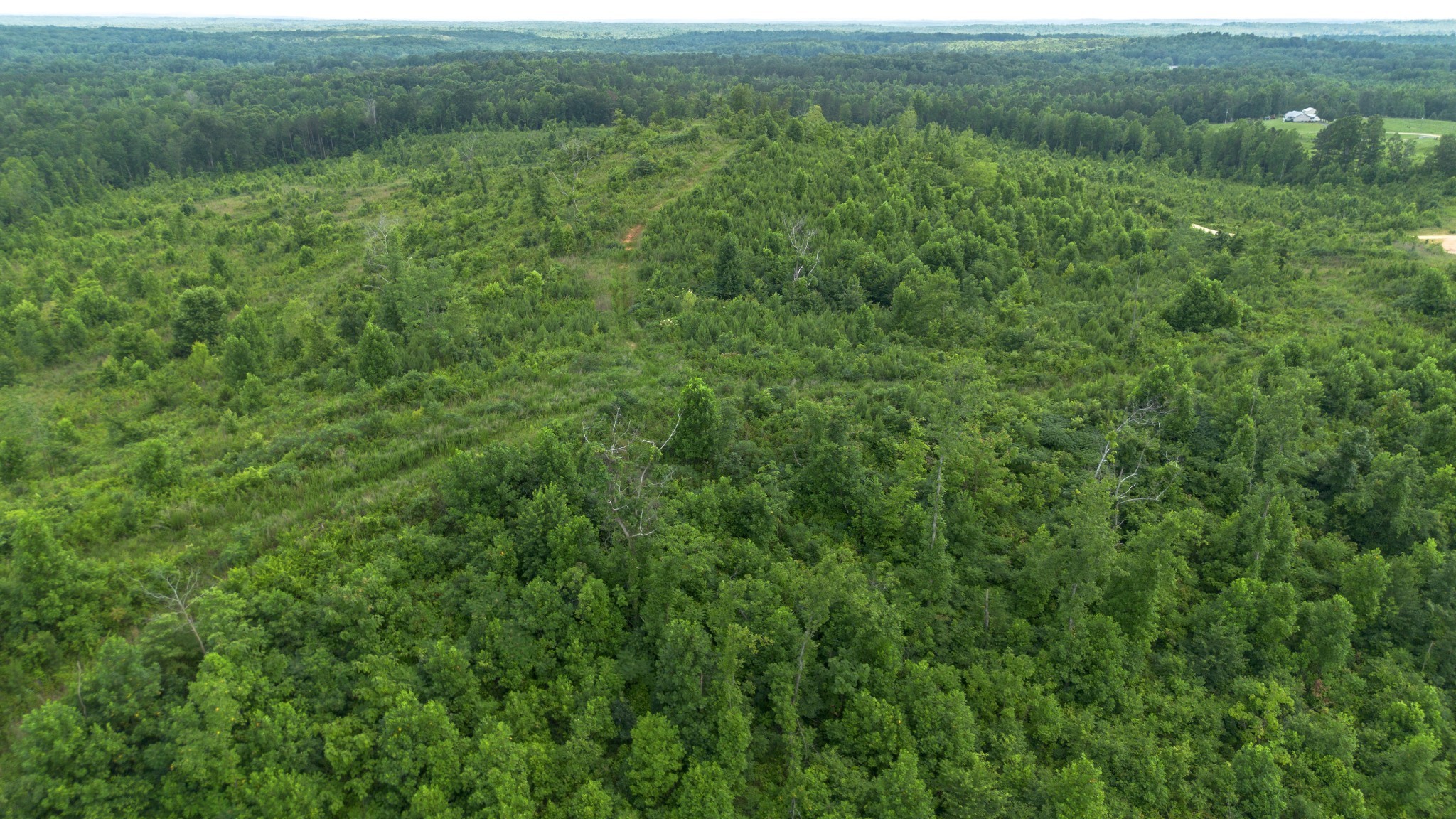 0 Tucker Rd Property Photo 5