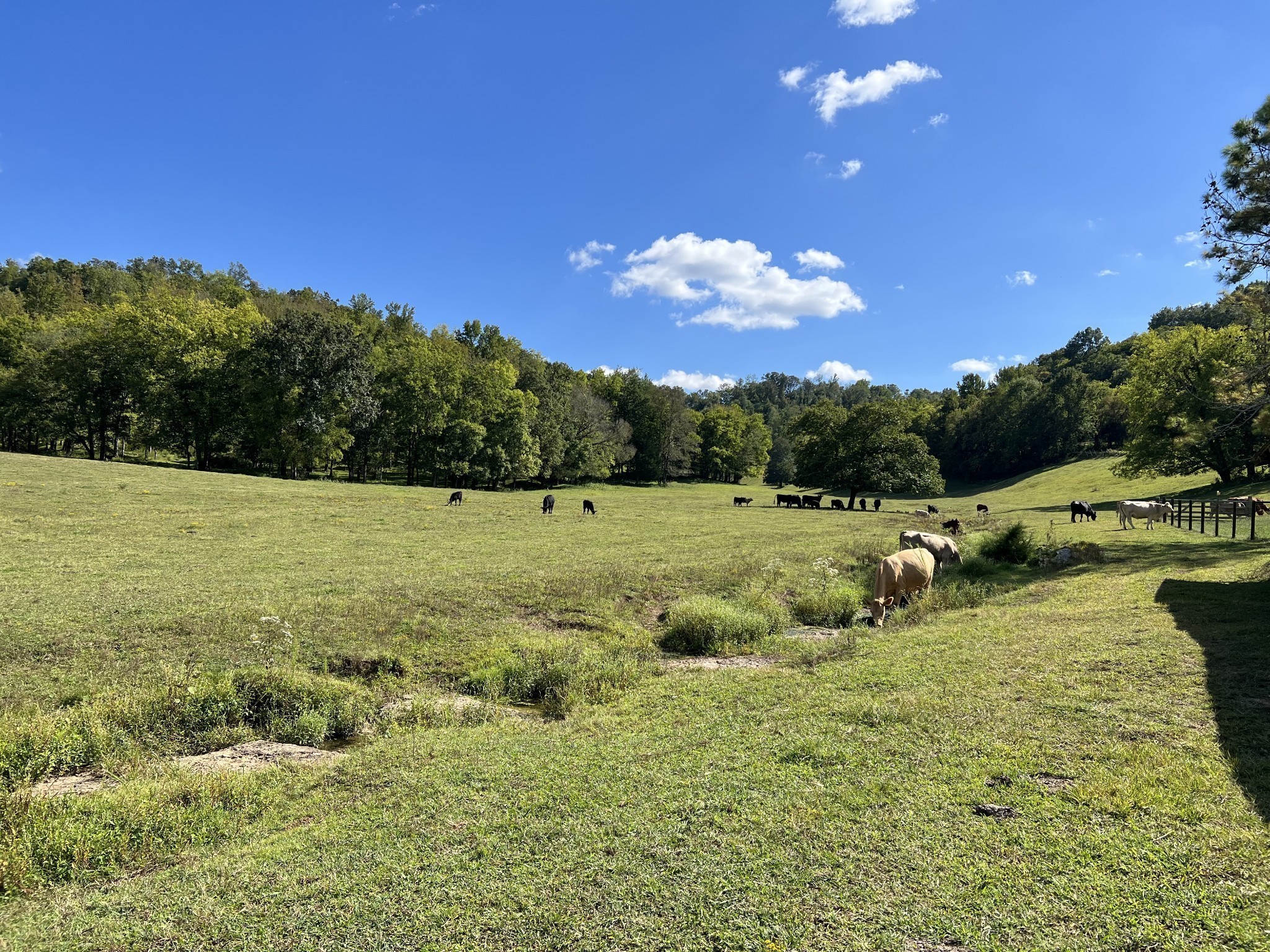 9 Crooked Hill Rd Property Photo 14