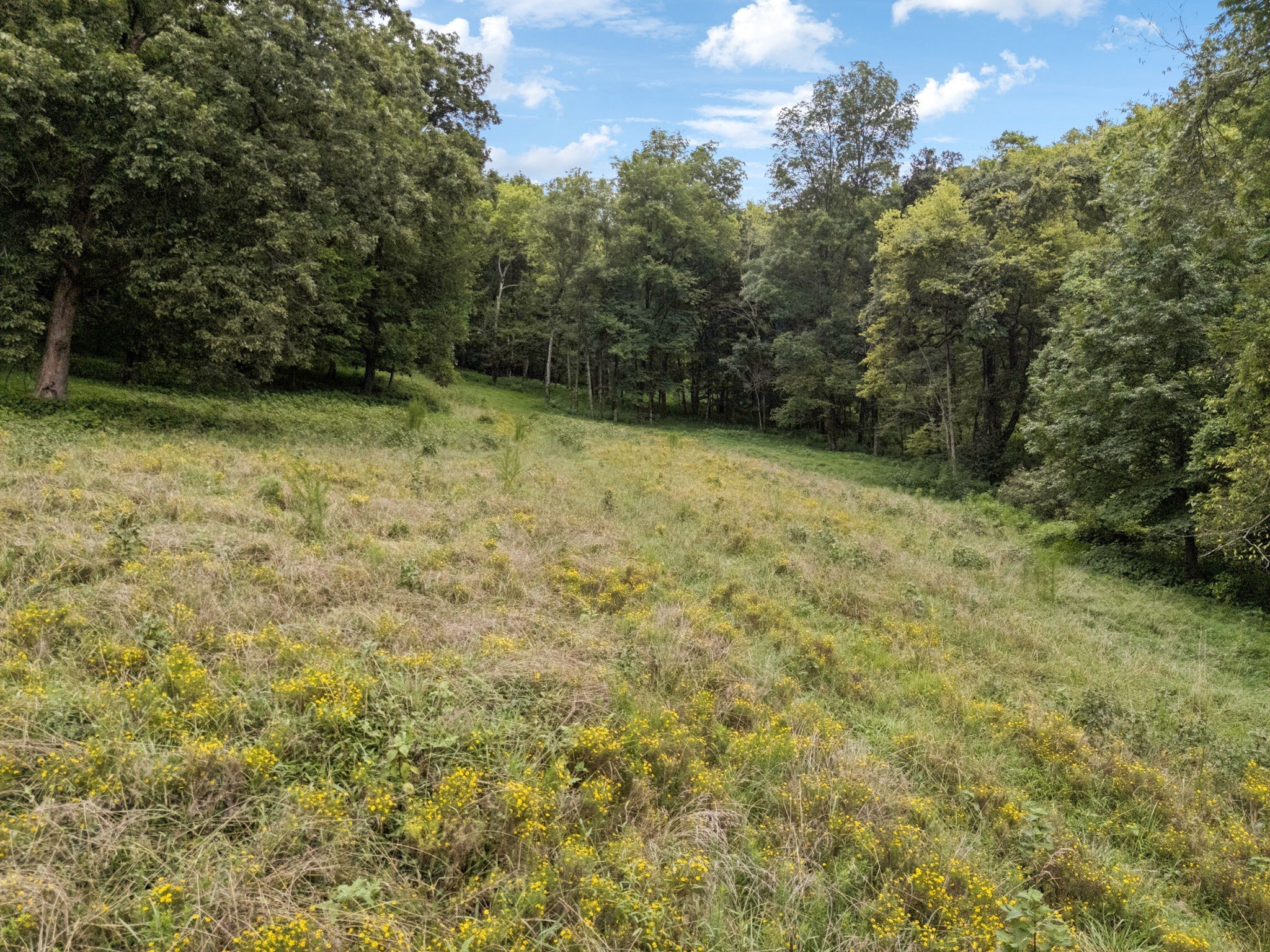 9 Crooked Hill Rd Property Photo 15