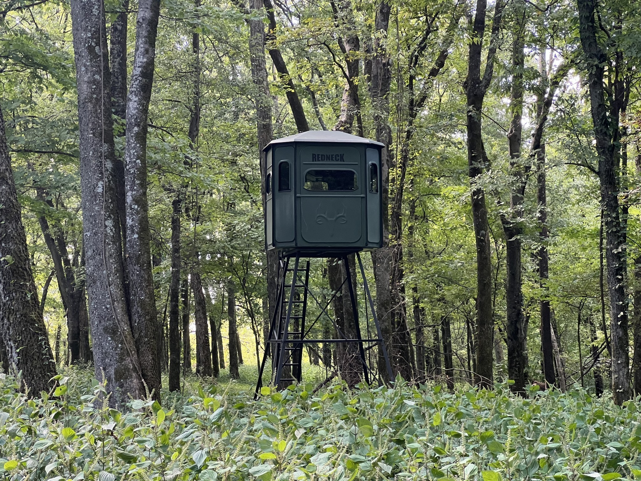 9 Crooked Hill Rd Property Photo 21