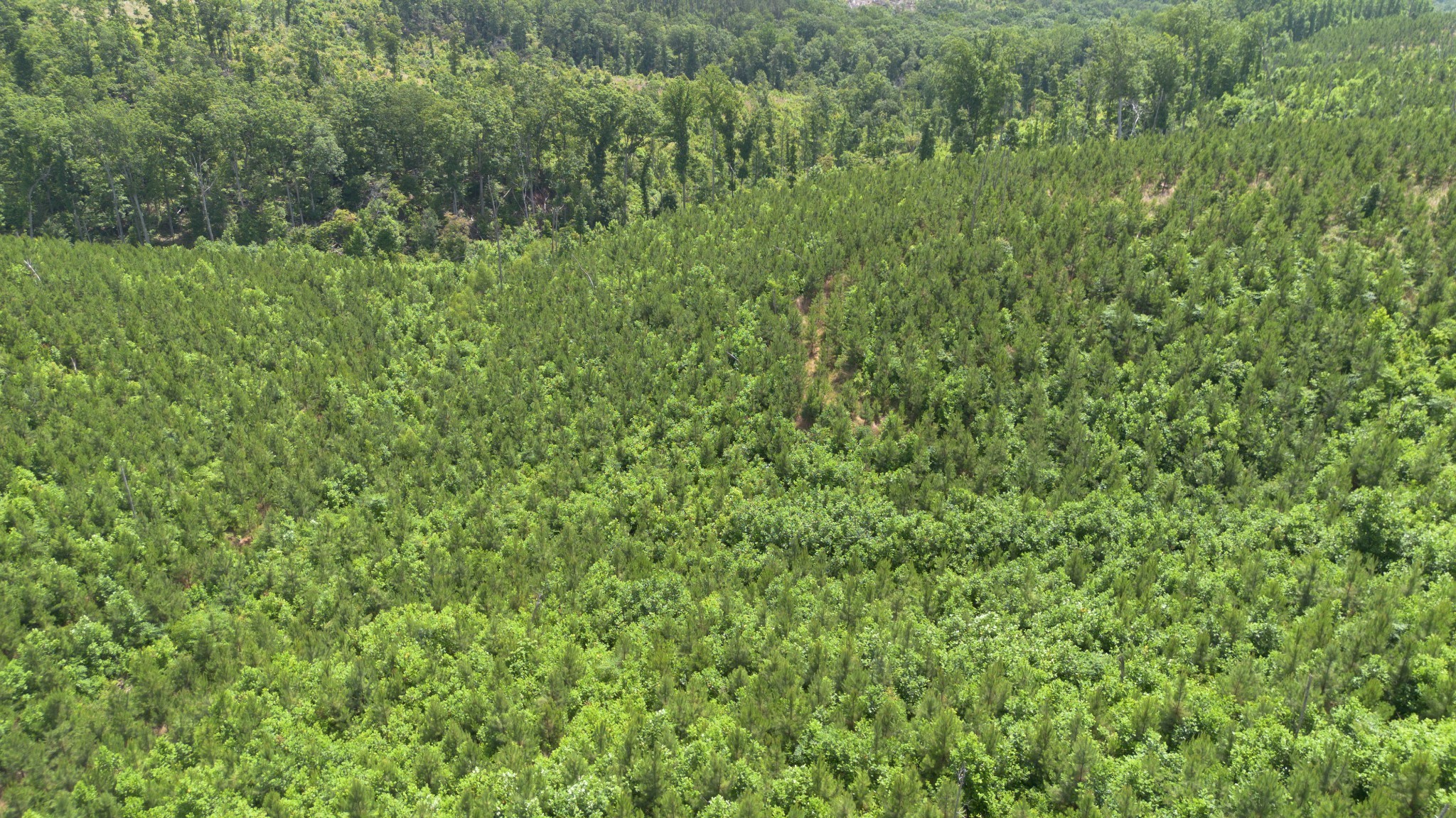 0 Low Gap Road Property Photo 1