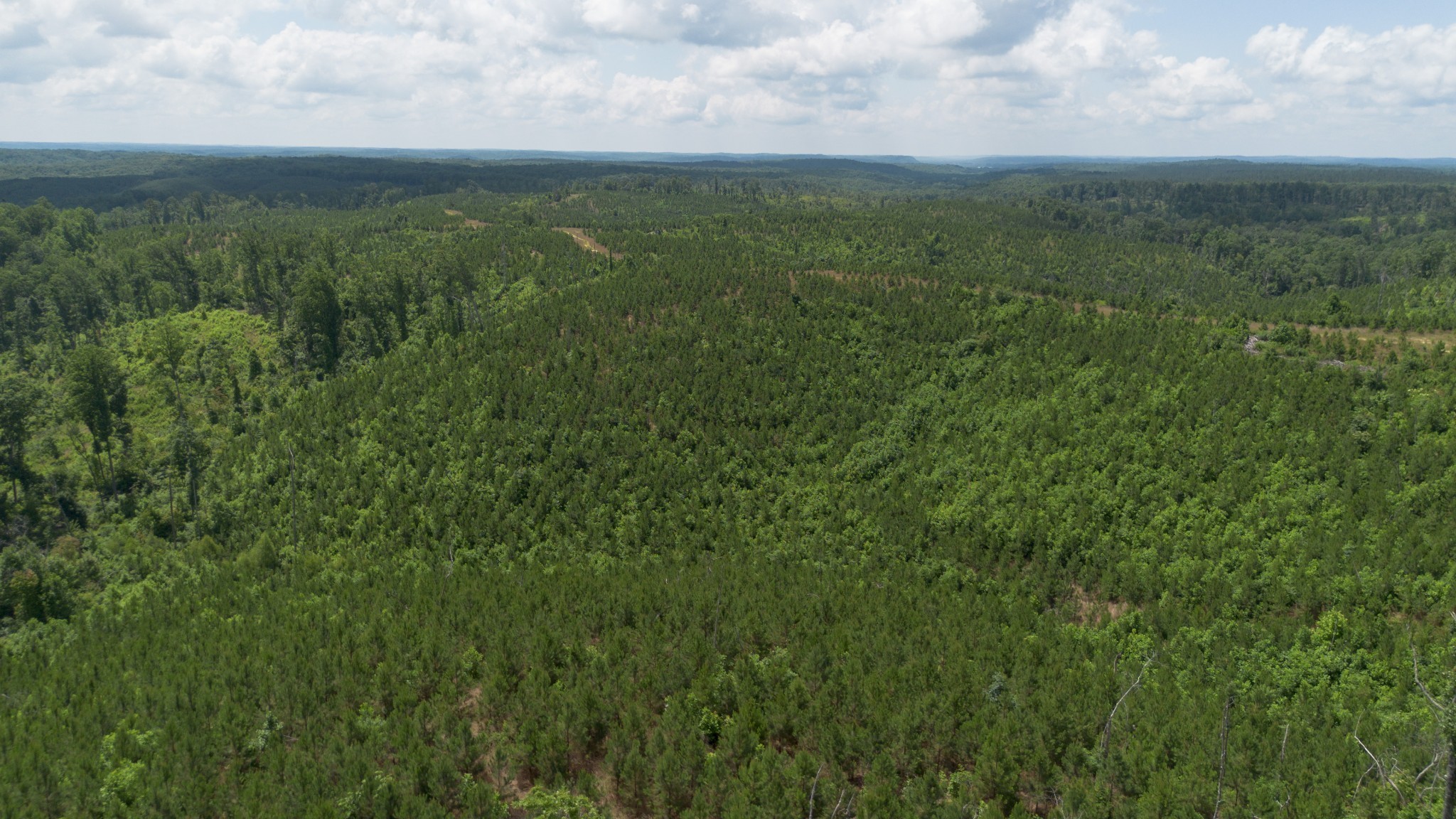 0 Low Gap Road Property Photo 3