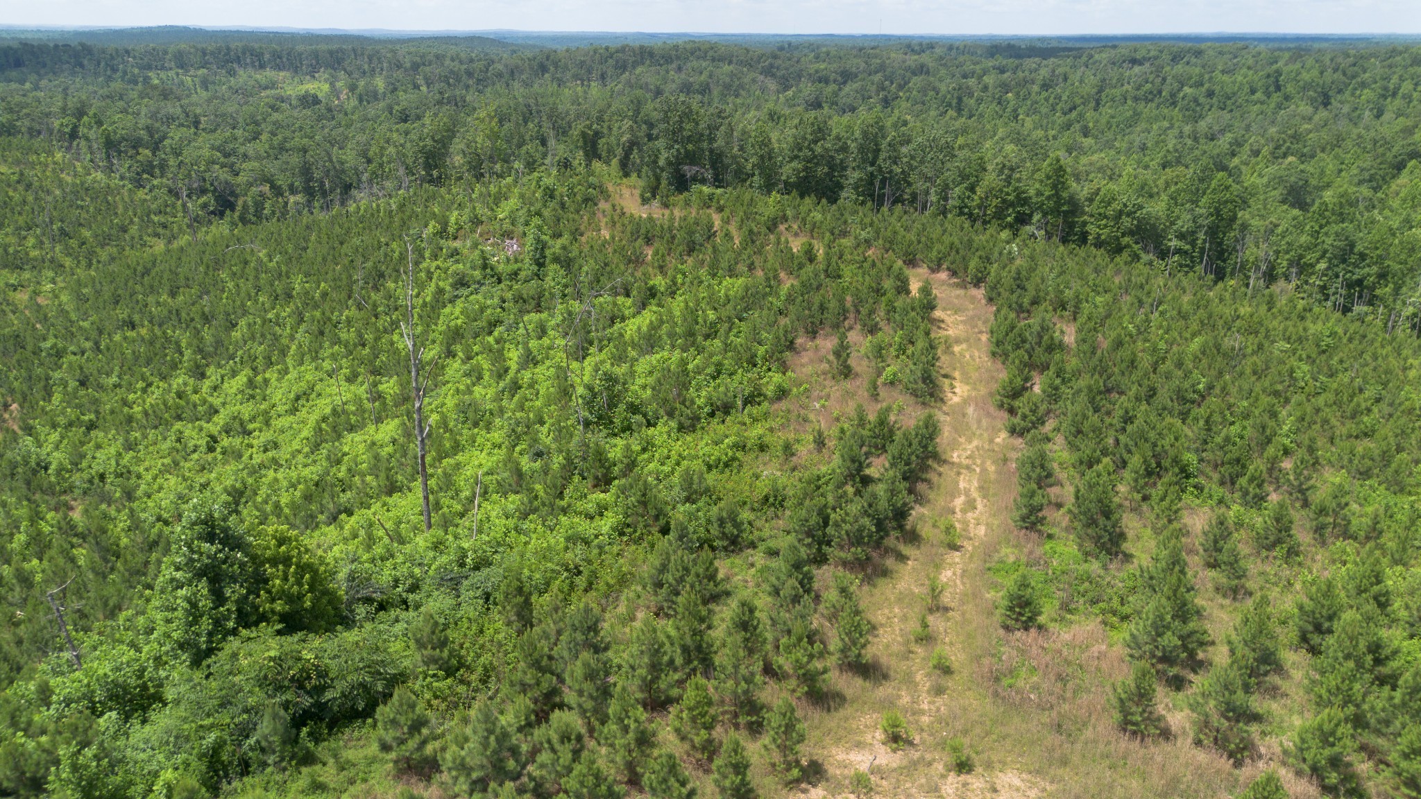 0 Low Gap Road Property Photo 4