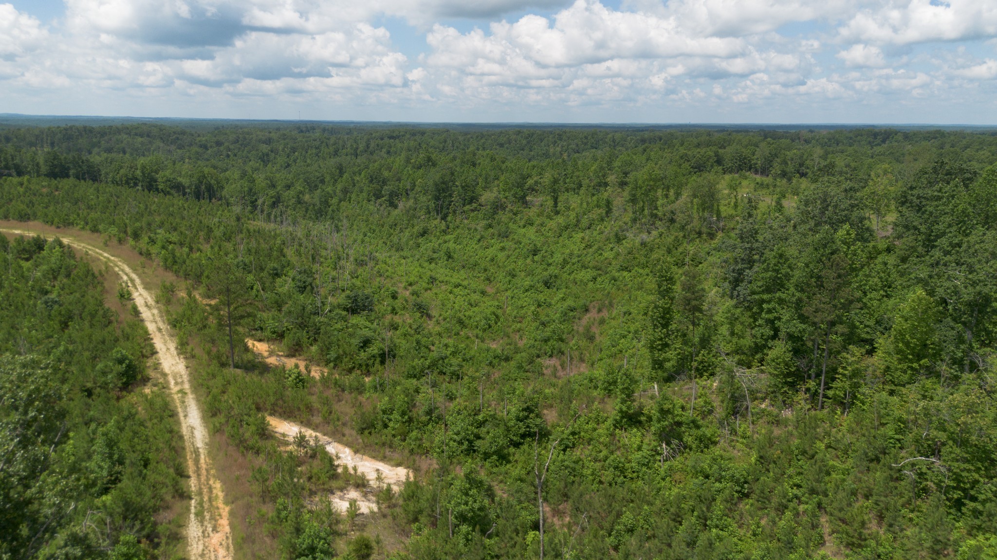 0 Low Gap Road Property Photo 5