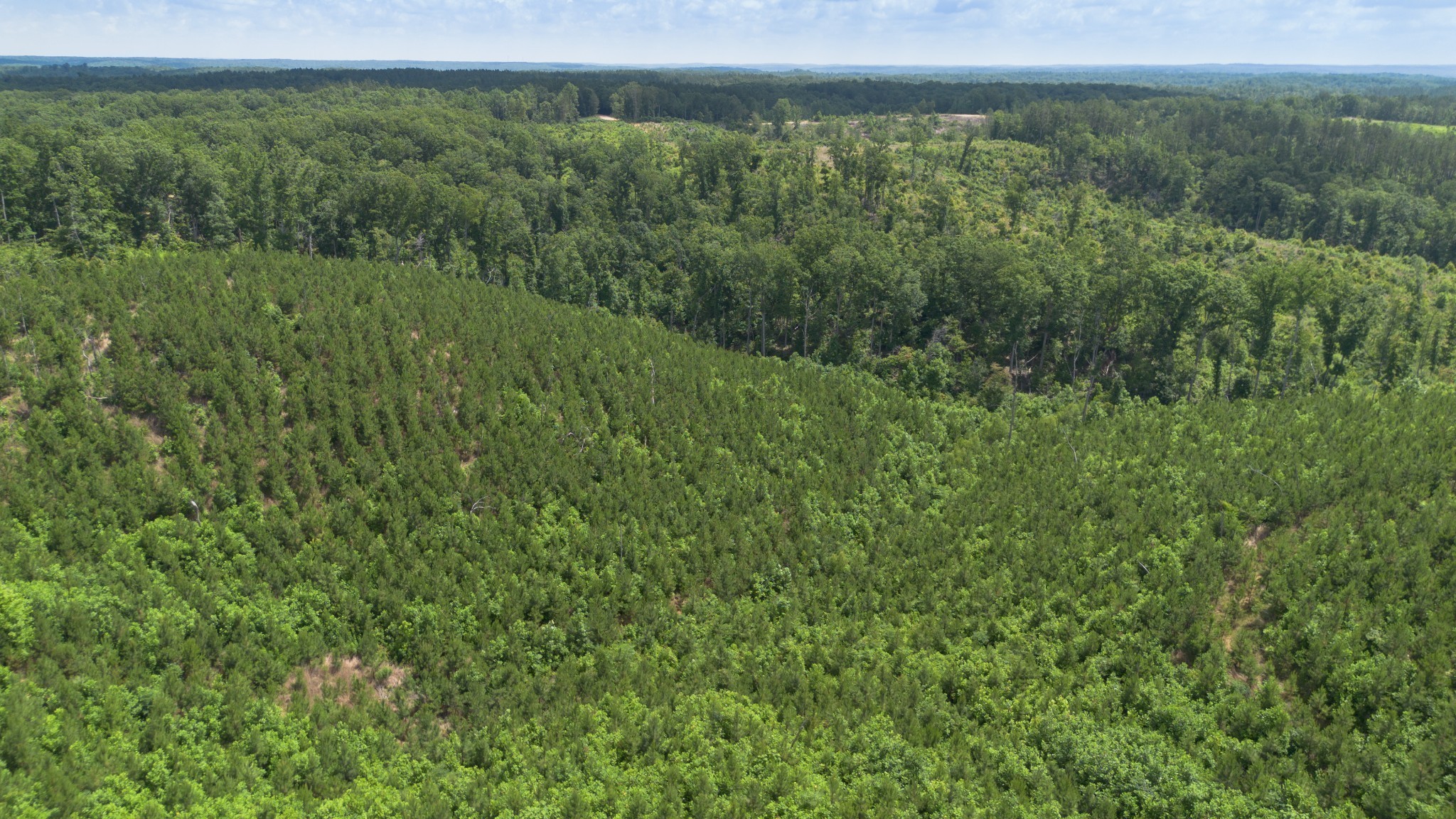 0 Low Gap Road Property Photo 6