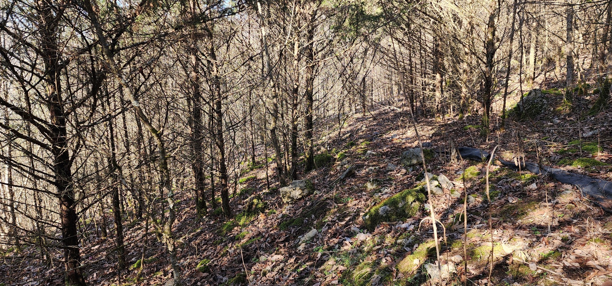 15 Lake Meadow Dr Property Photo 2