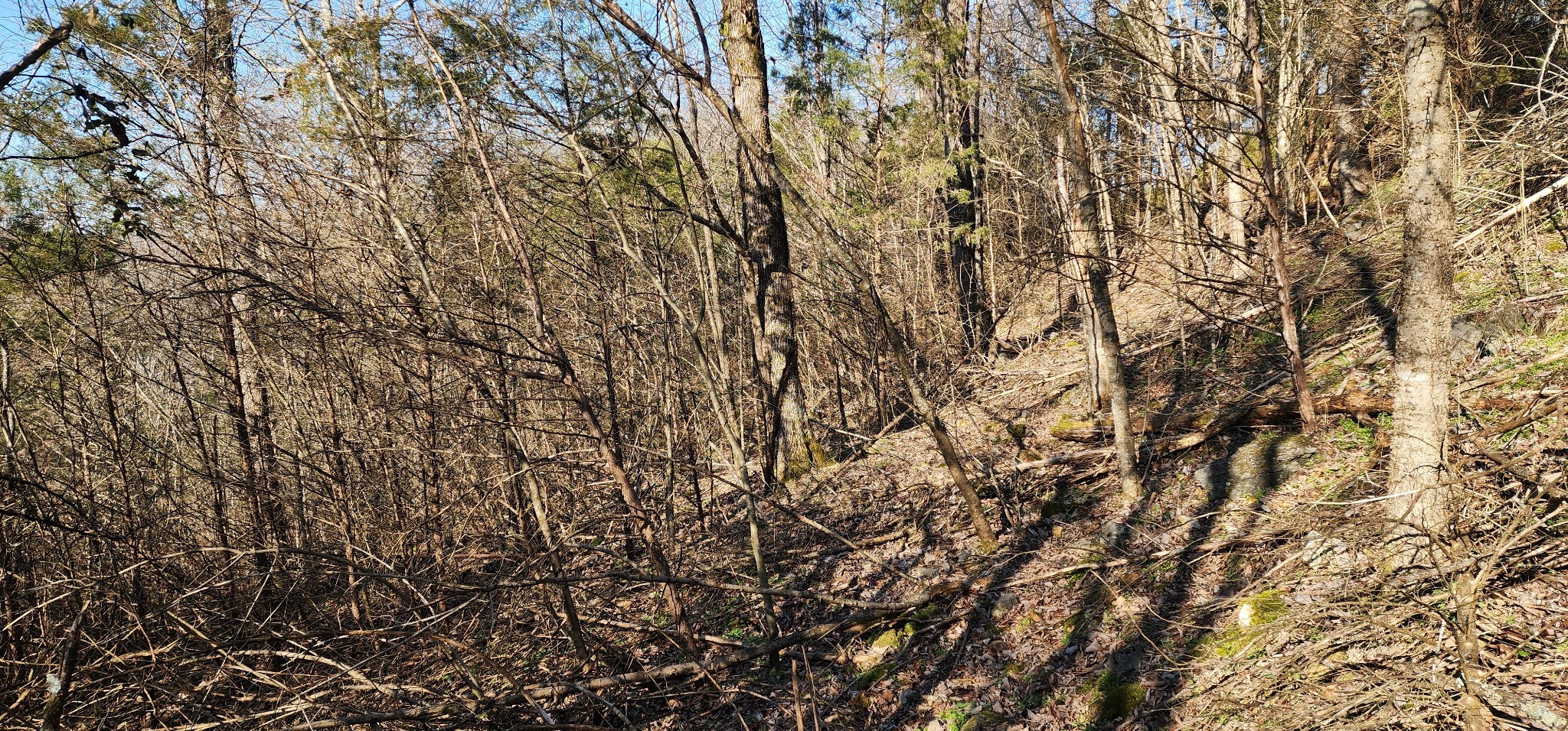 15 Lake Meadow Dr Property Photo 4