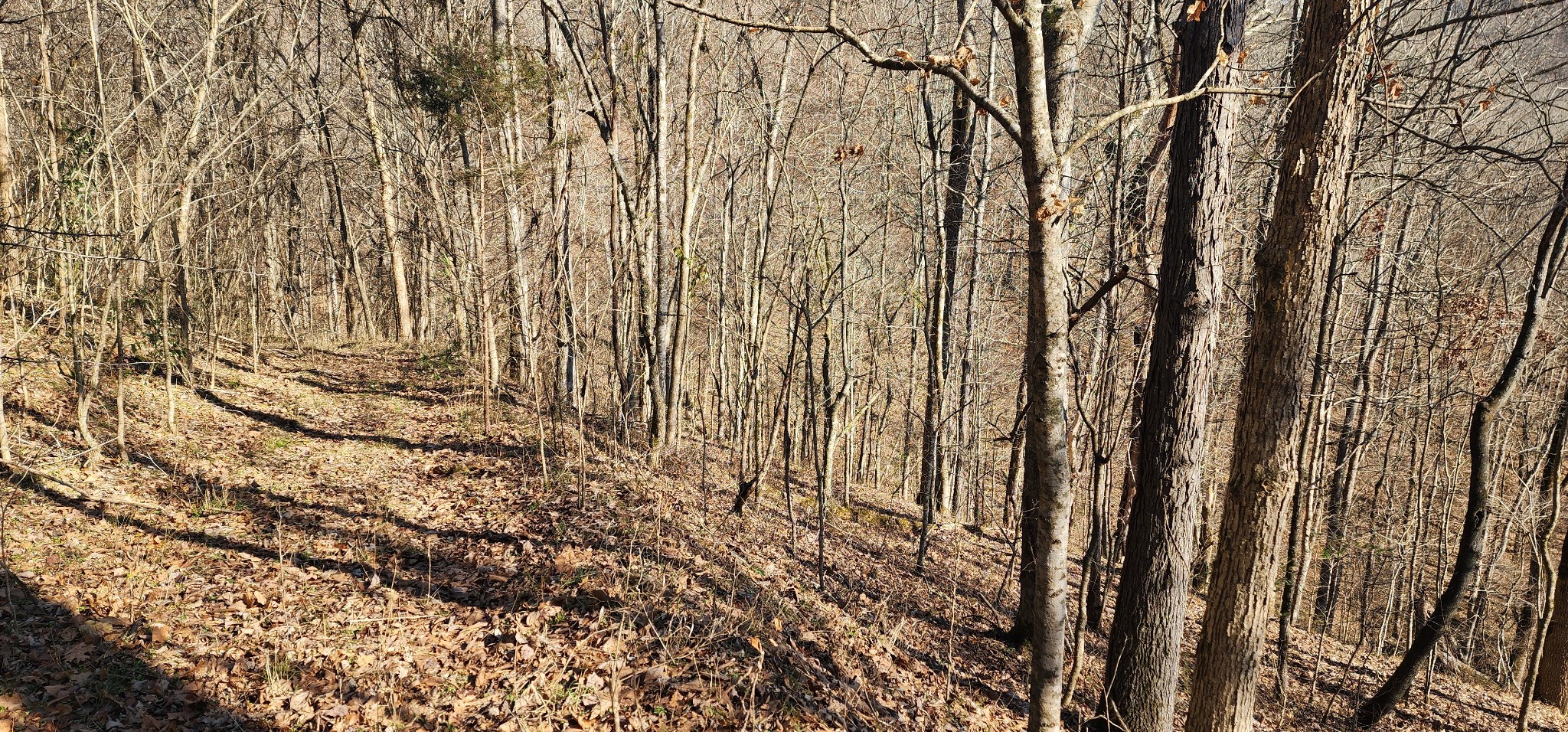 15 Lake Meadow Dr Property Photo 5