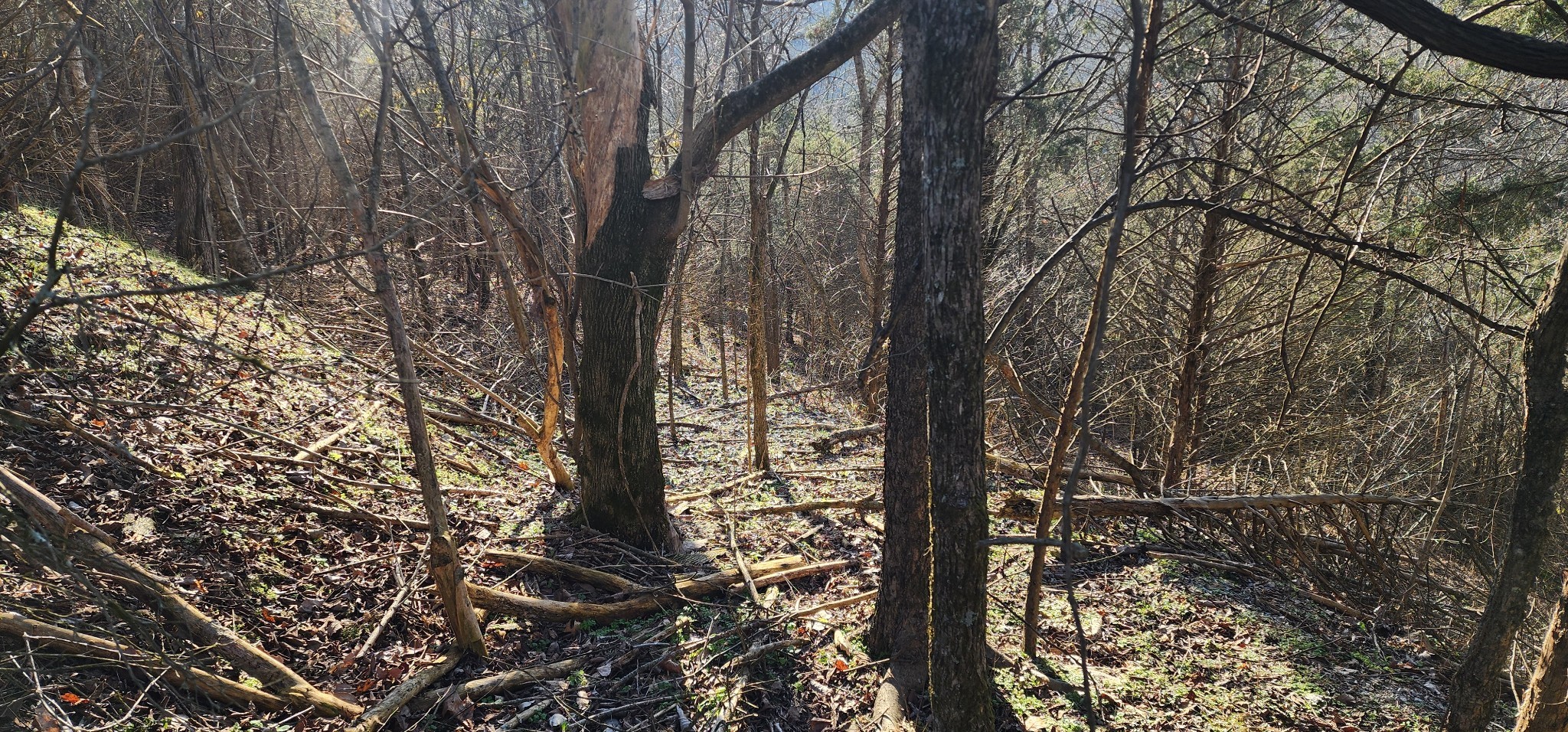 15 Lake Meadow Dr Property Photo 6