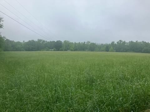 0 Jones Creek Road Property Photo 5