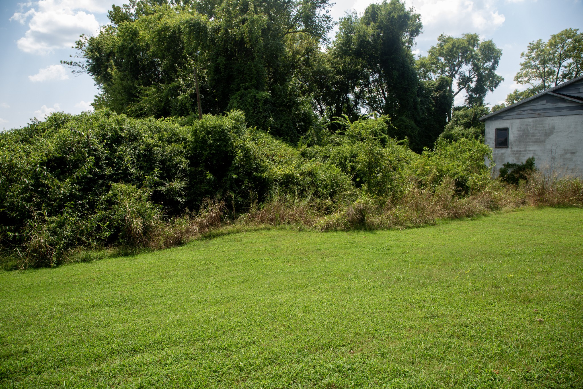 227 Dorothy Jordan Ave Property Photo 12