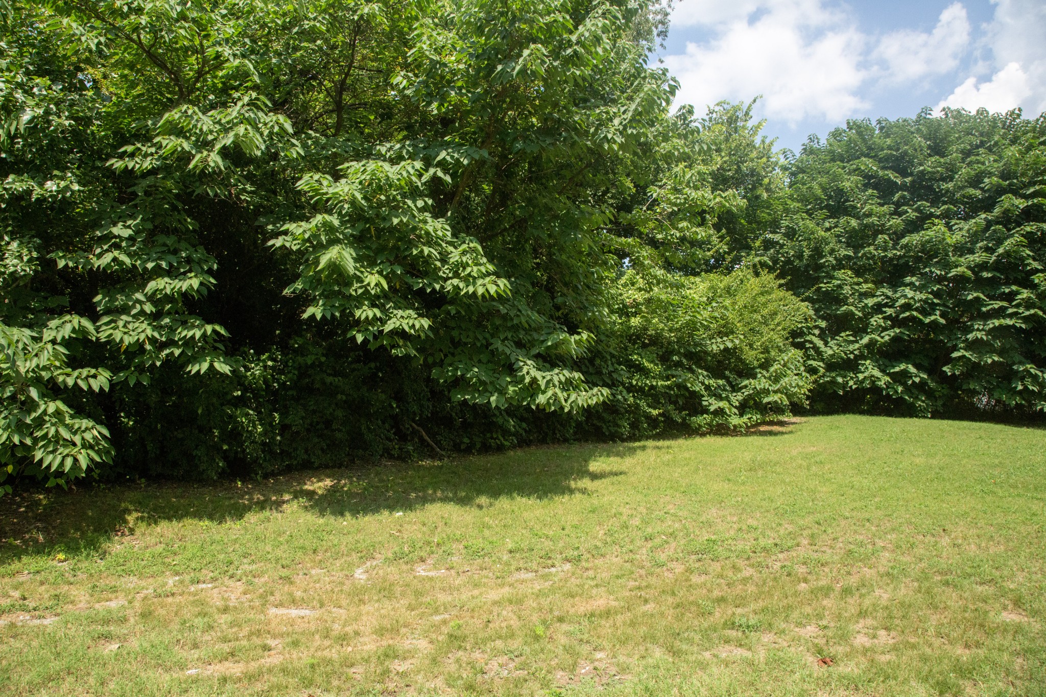 227 Dorothy Jordan Ave Property Photo 15