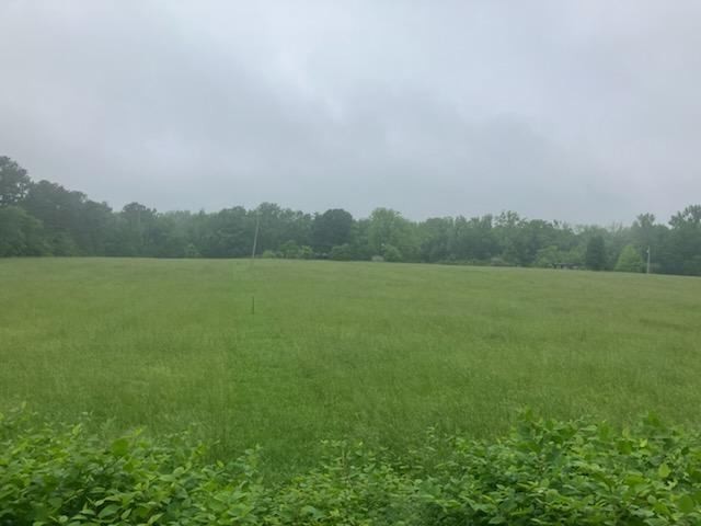 0 Jones Creek Road Property Photo 1