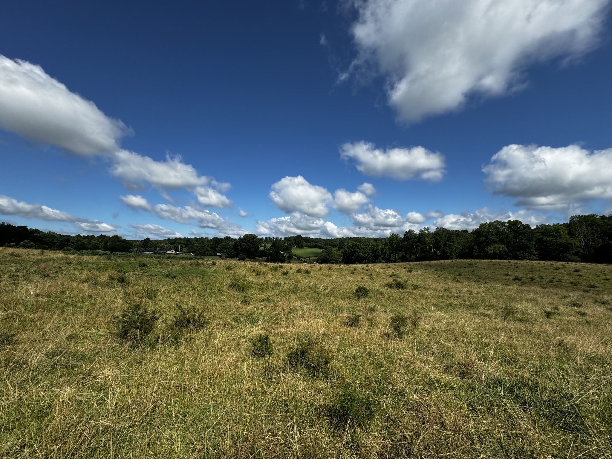 9 Brigham Branch Rd Property Photo 4