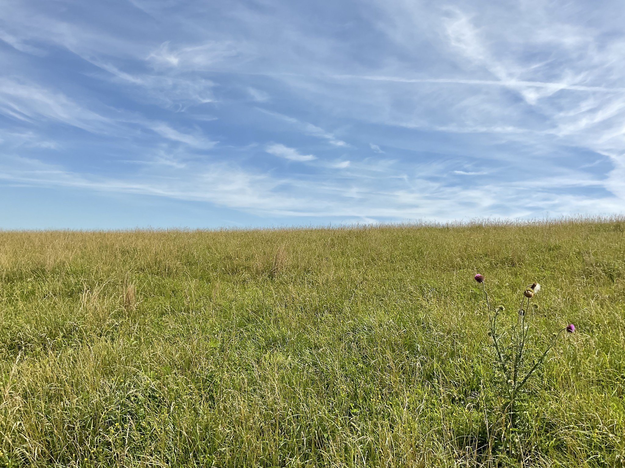 9 Brigham Branch Rd Property Photo 6