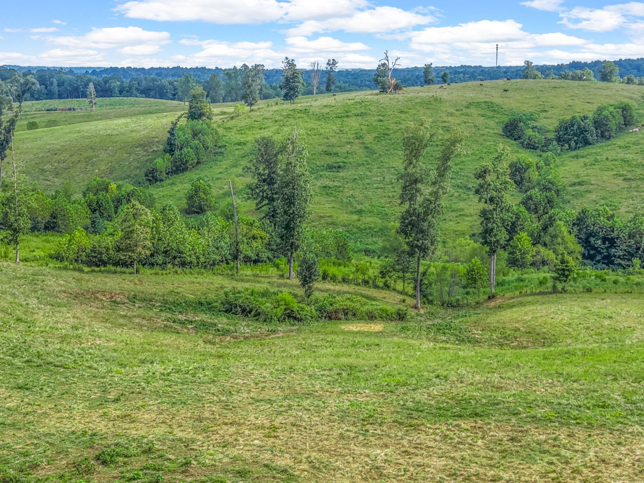 9 Brigham Branch Rd Property Photo 12