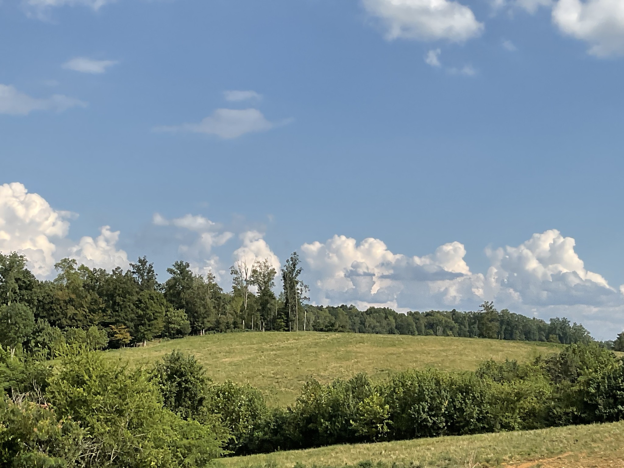 9 Brigham Branch Rd Property Photo 22