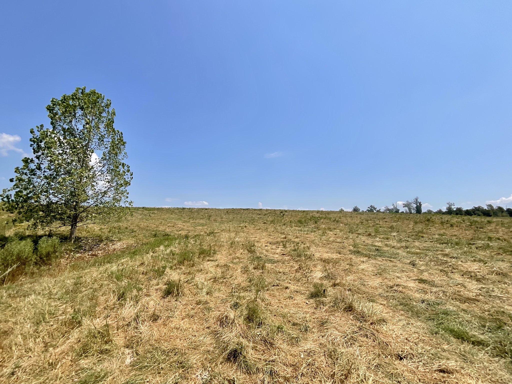 9 Brigham Branch Rd Property Photo 41