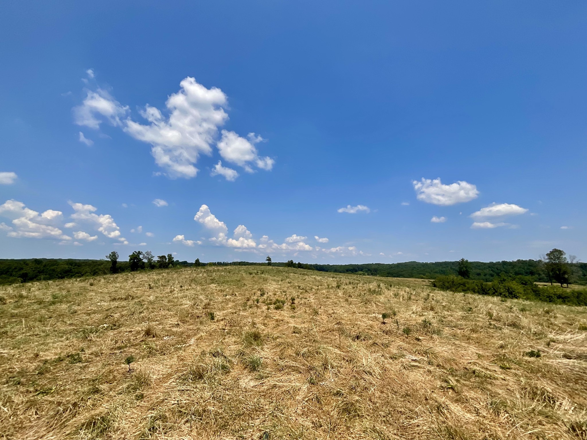 9 Brigham Branch Rd Property Photo 51