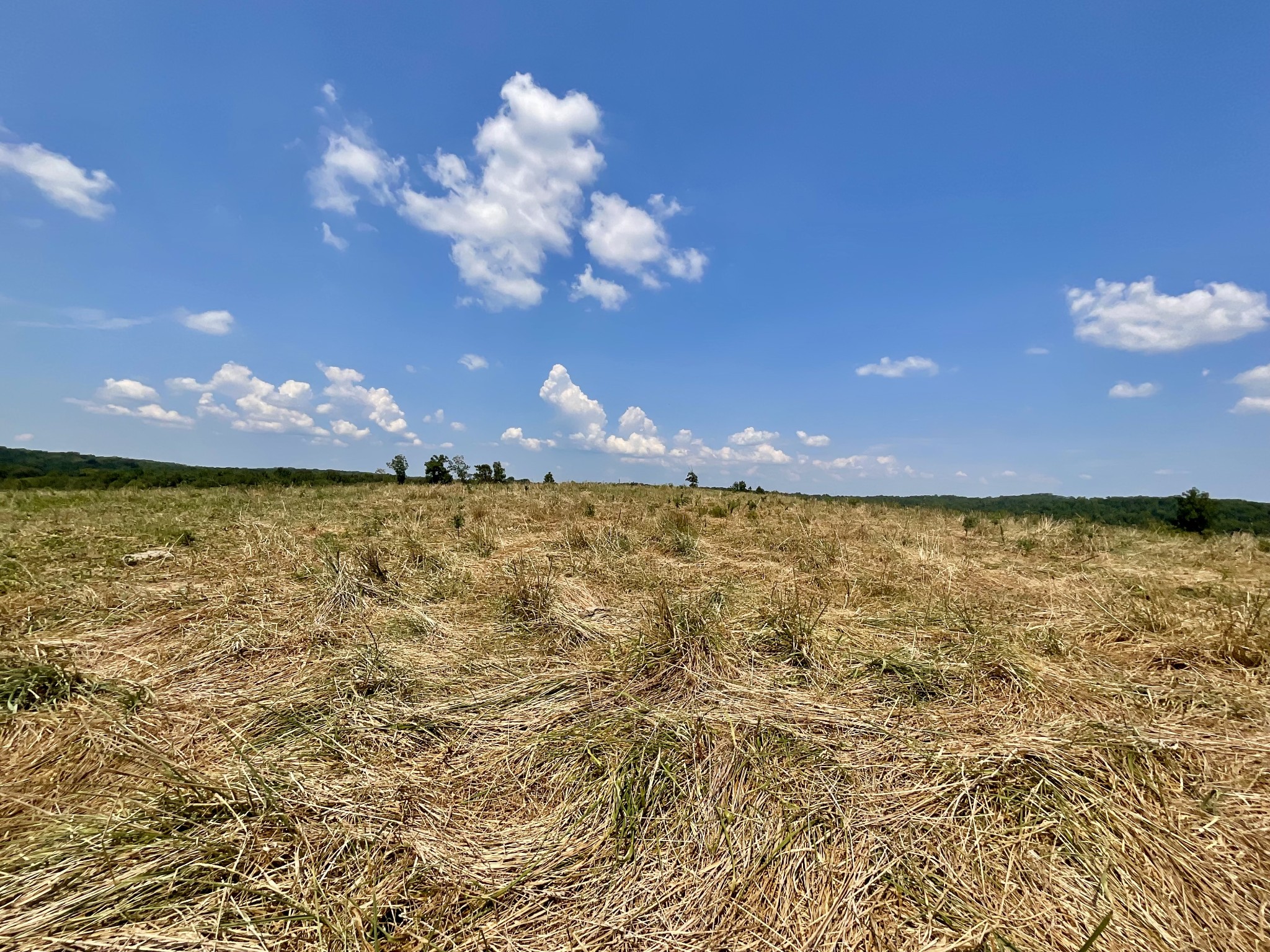 9 Brigham Branch Rd Property Photo 52