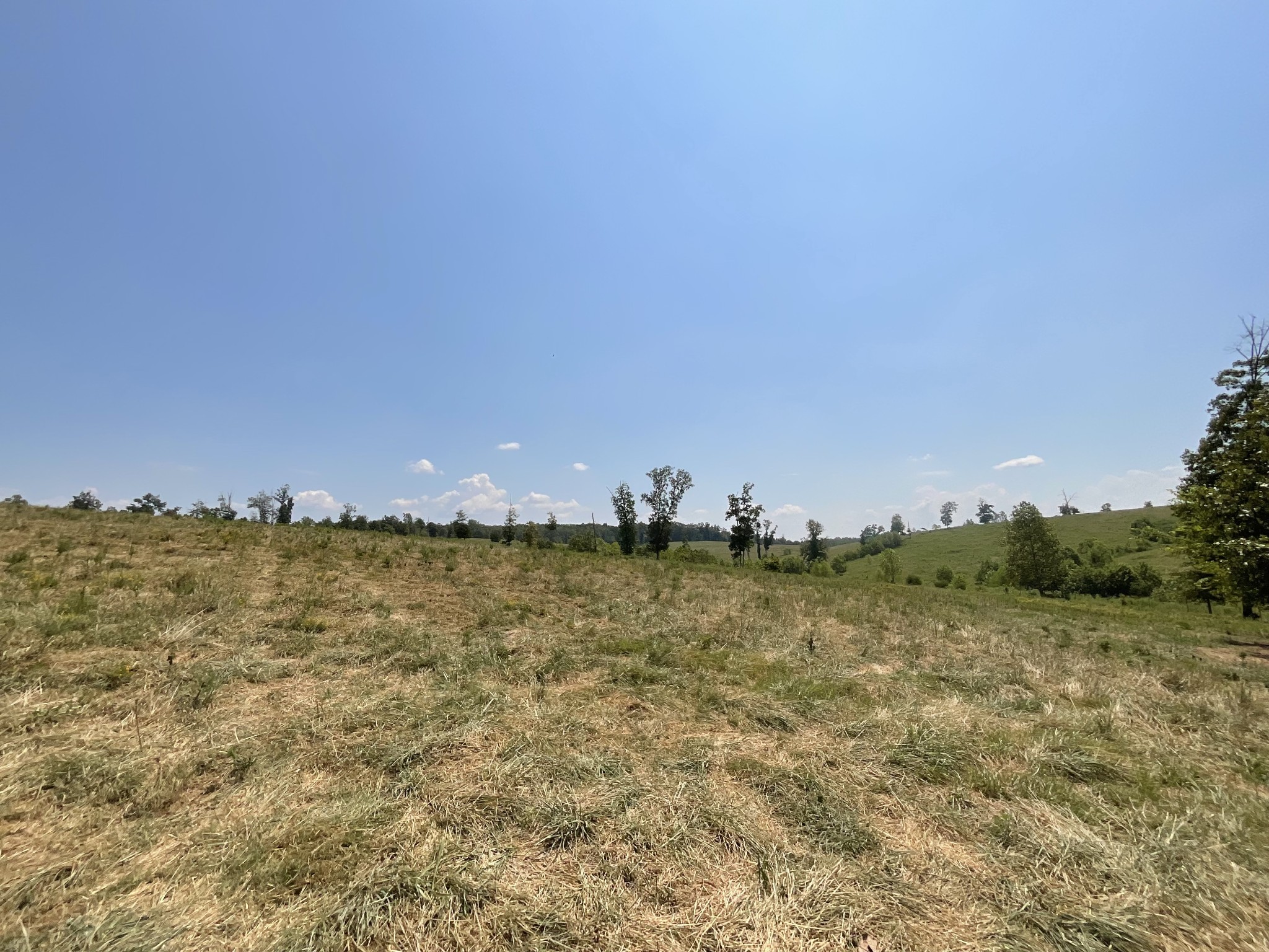 9 Brigham Branch Rd Property Photo 64