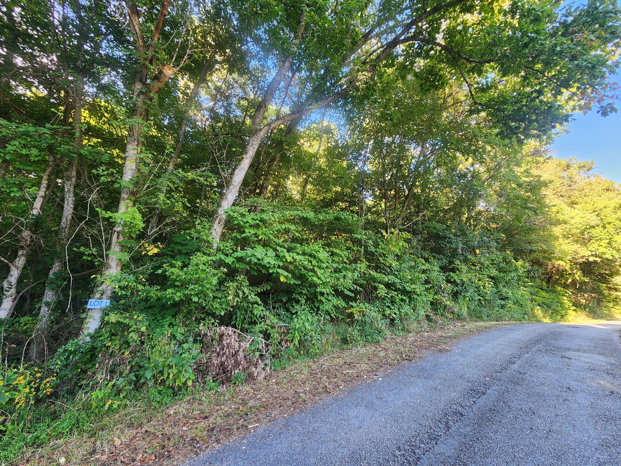 0 Blowing Springs Property Photo 2