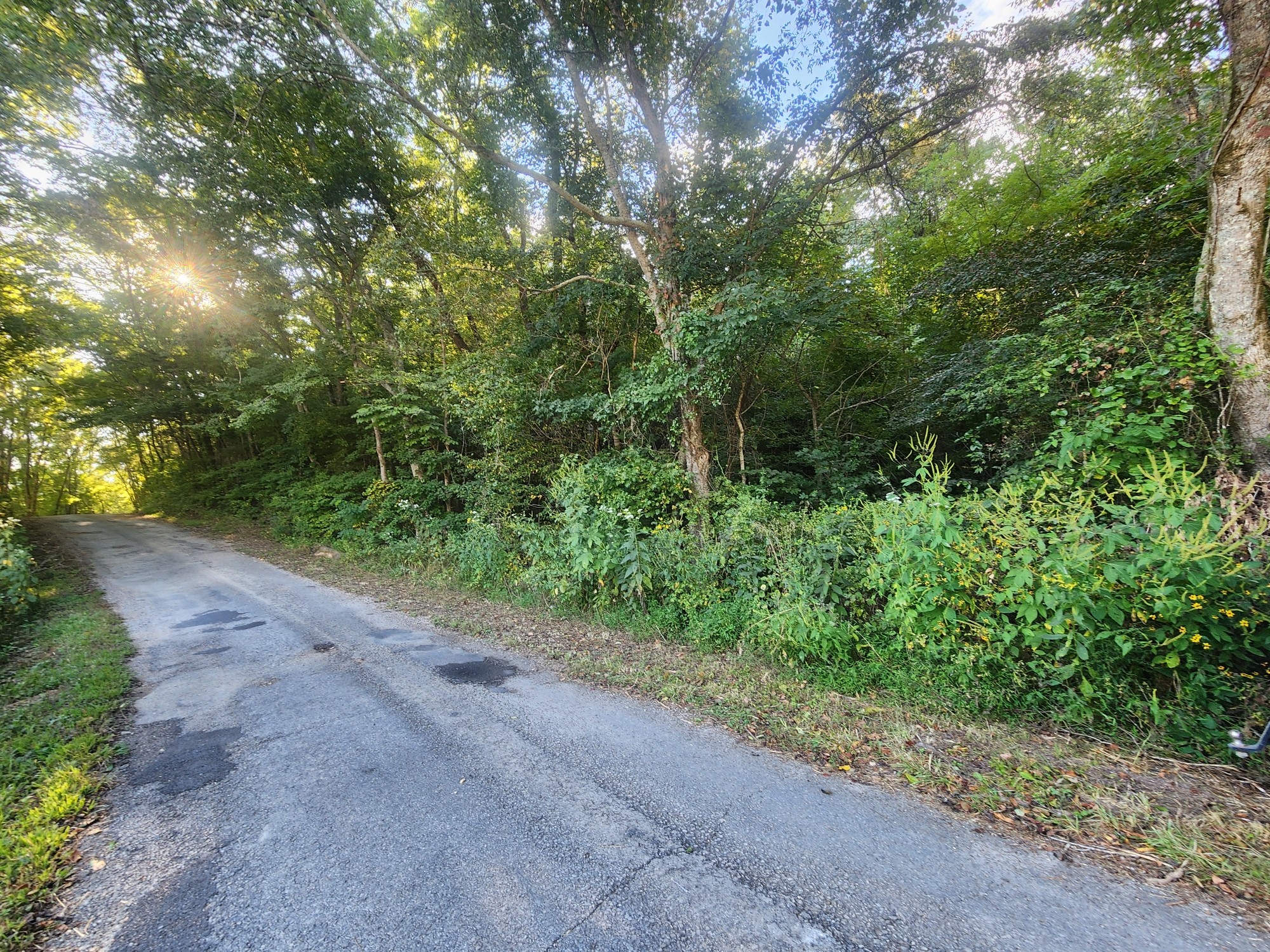 0 Blowing Springs Property Photo 4