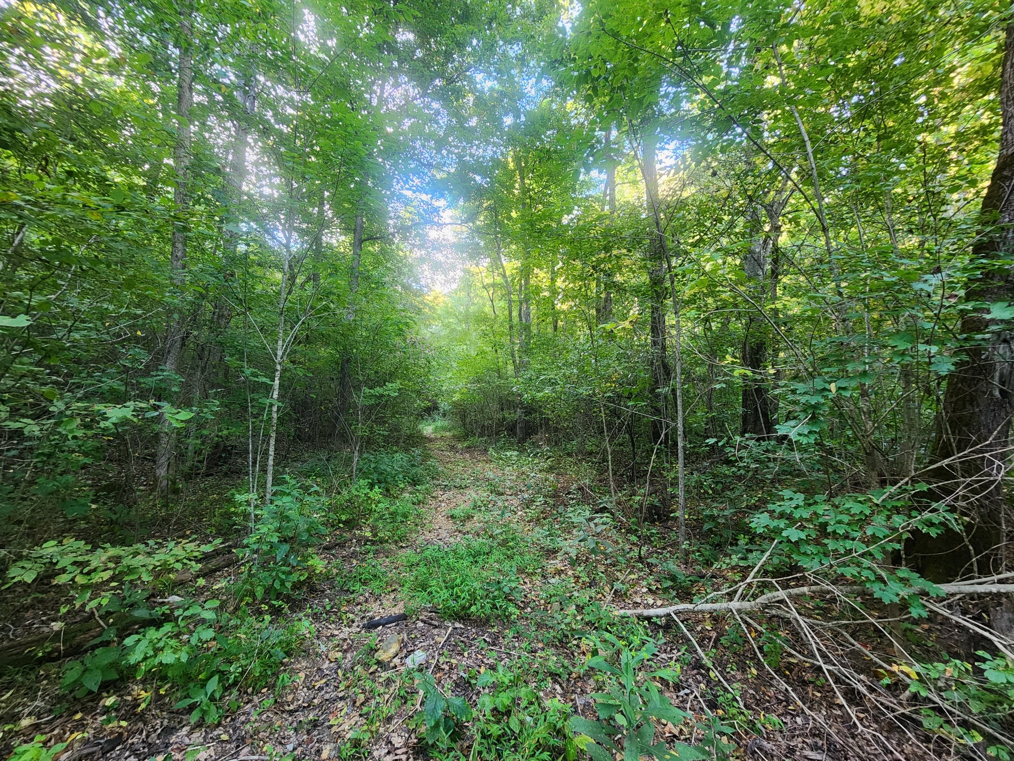 0 Blowing Springs Property Photo 5