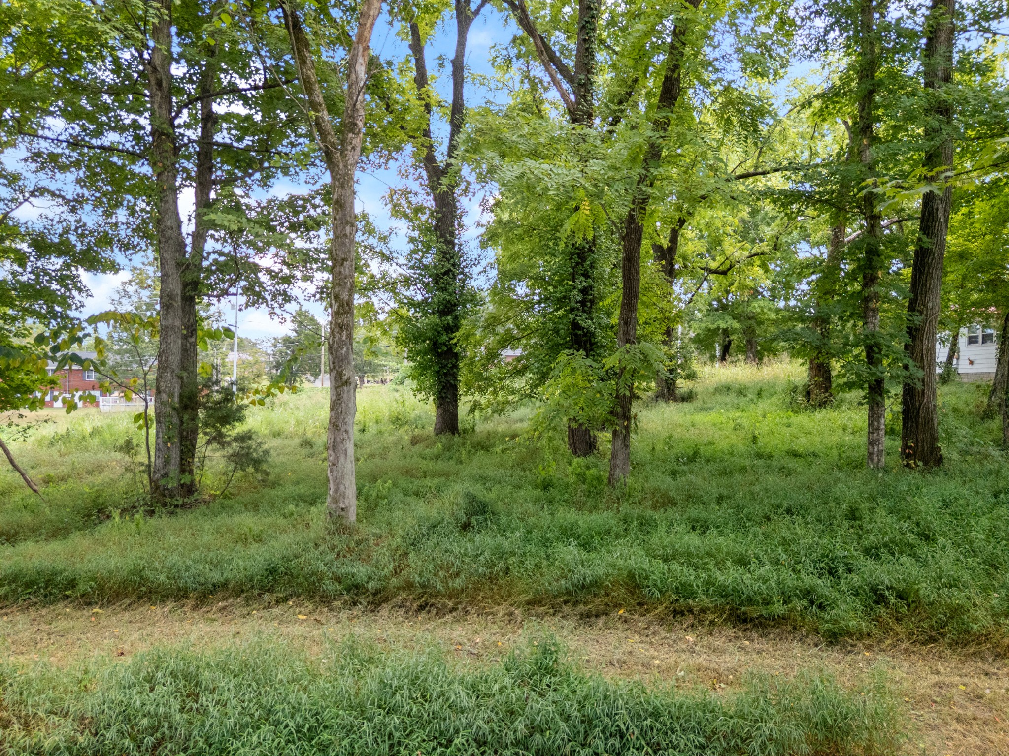 0 Highway 48, S Property Photo 15