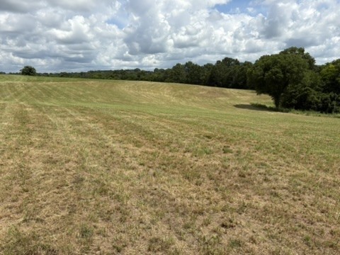 1505 Lower Helton Rd Property Photo 3