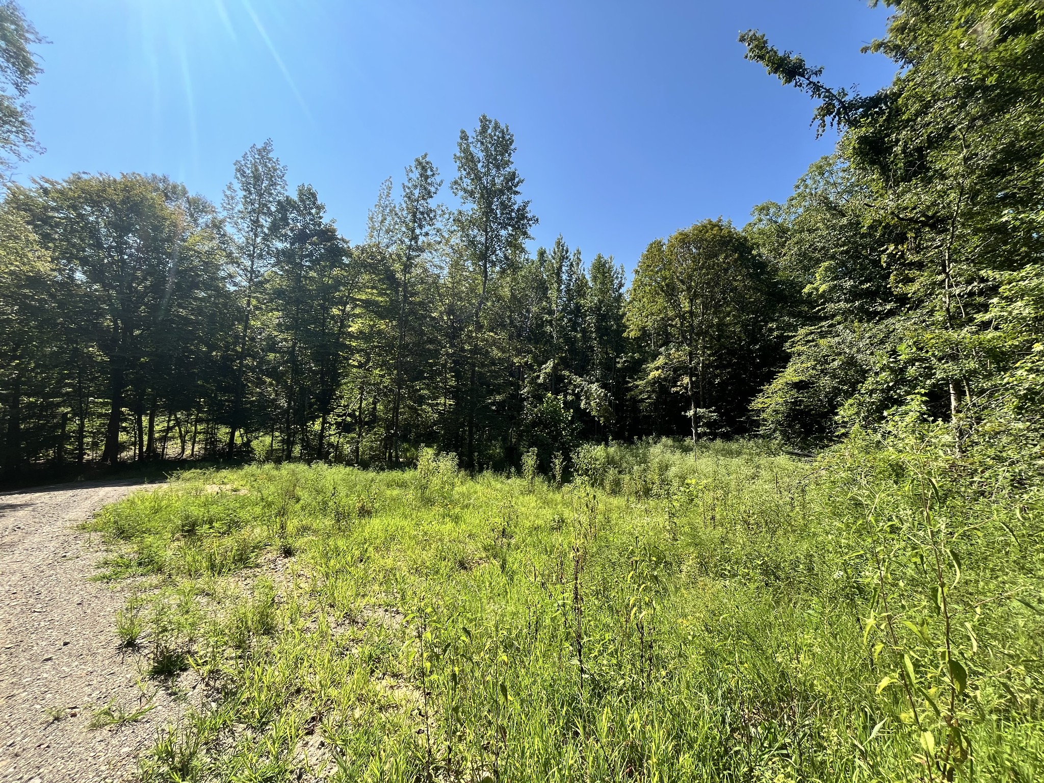 0 Big Sink Road Property Photo 1