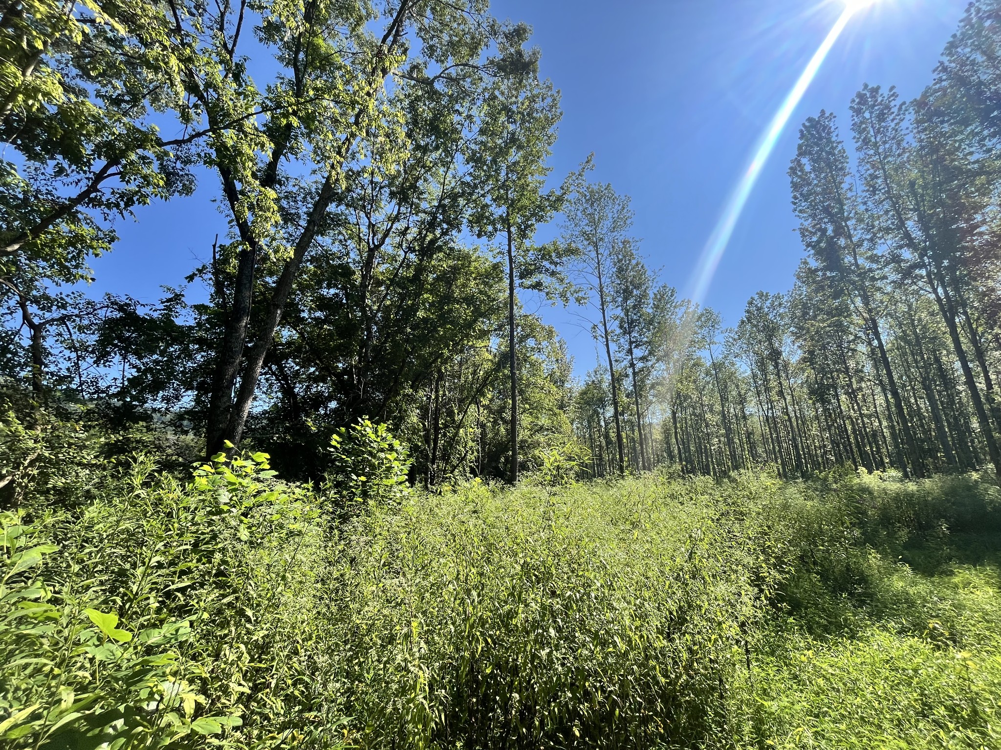 0 Big Sink Road Property Photo 10