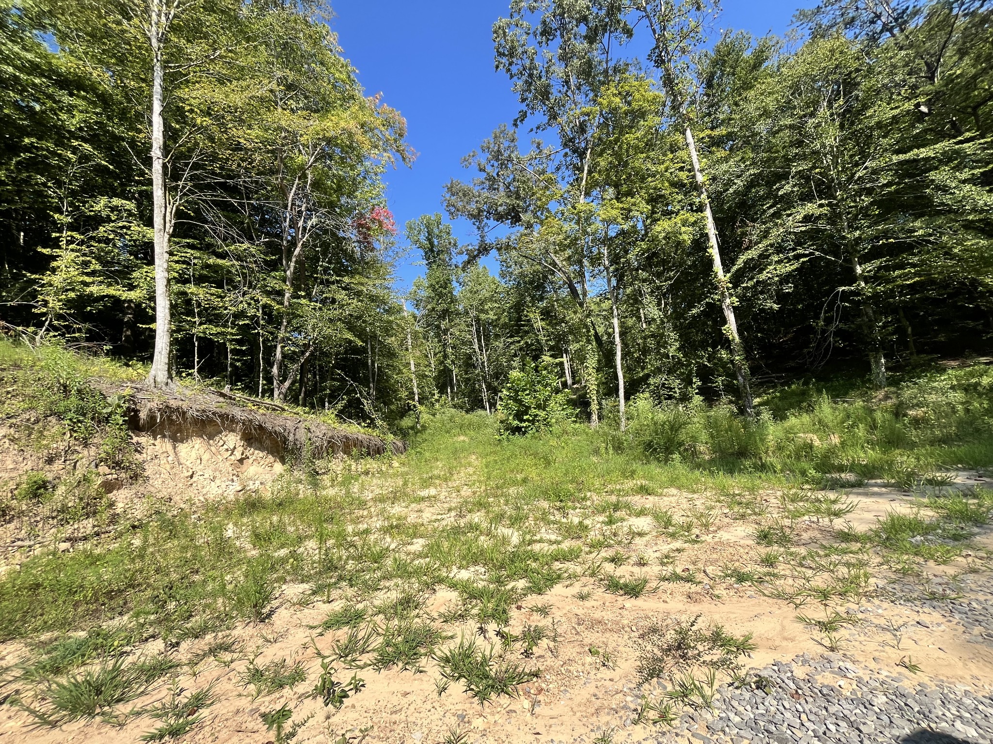 0 Big Sink Road Property Photo 18