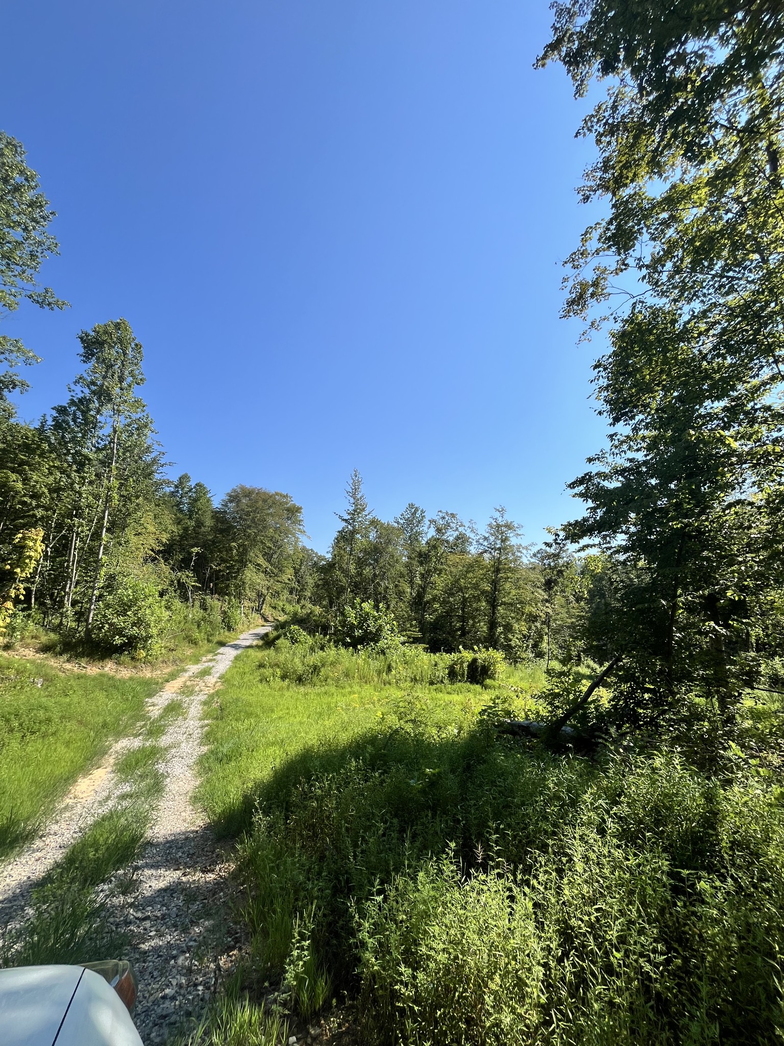 0 Big Sink Road Property Photo 20