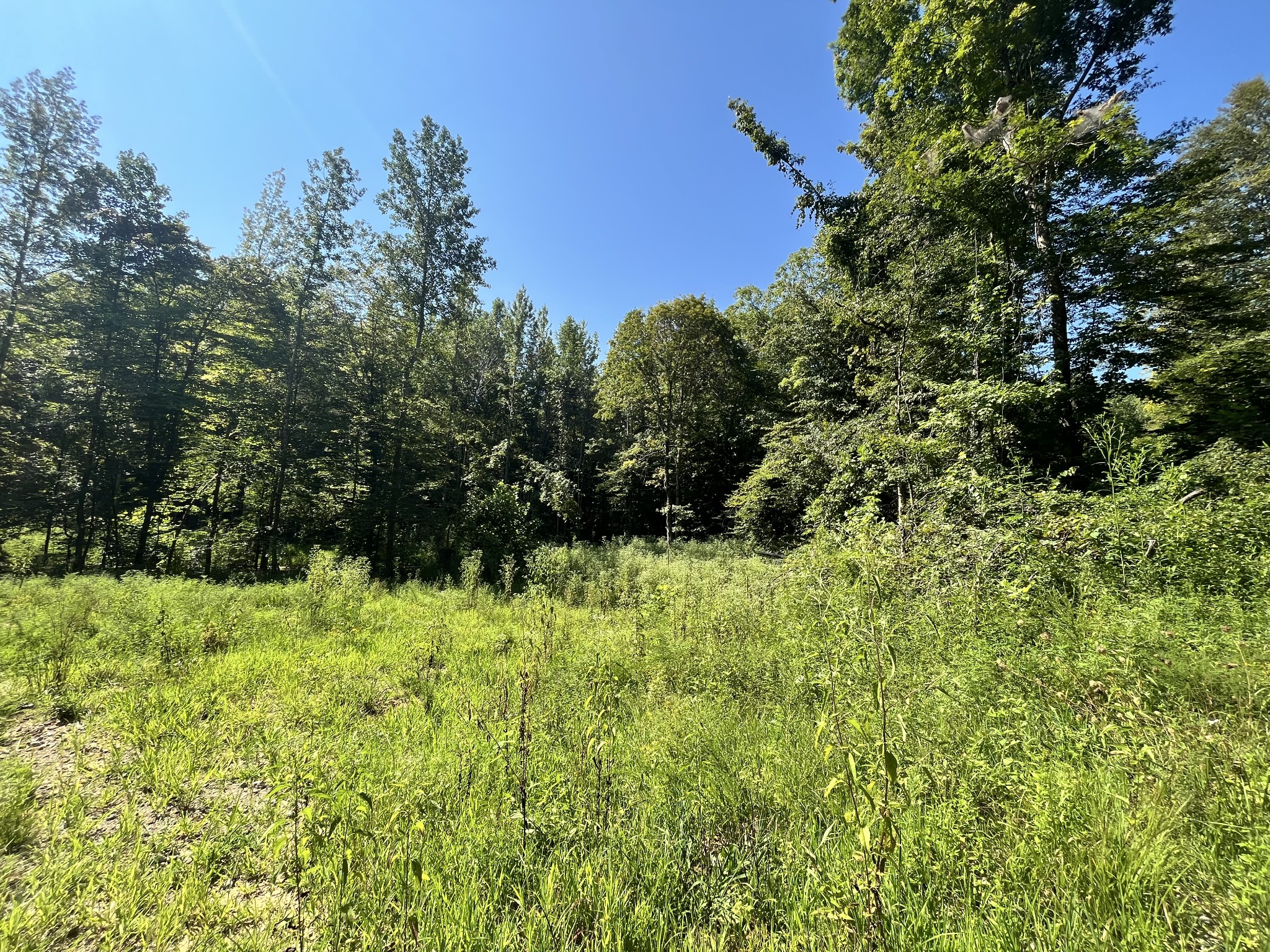 0 Big Sink Road Property Photo 23