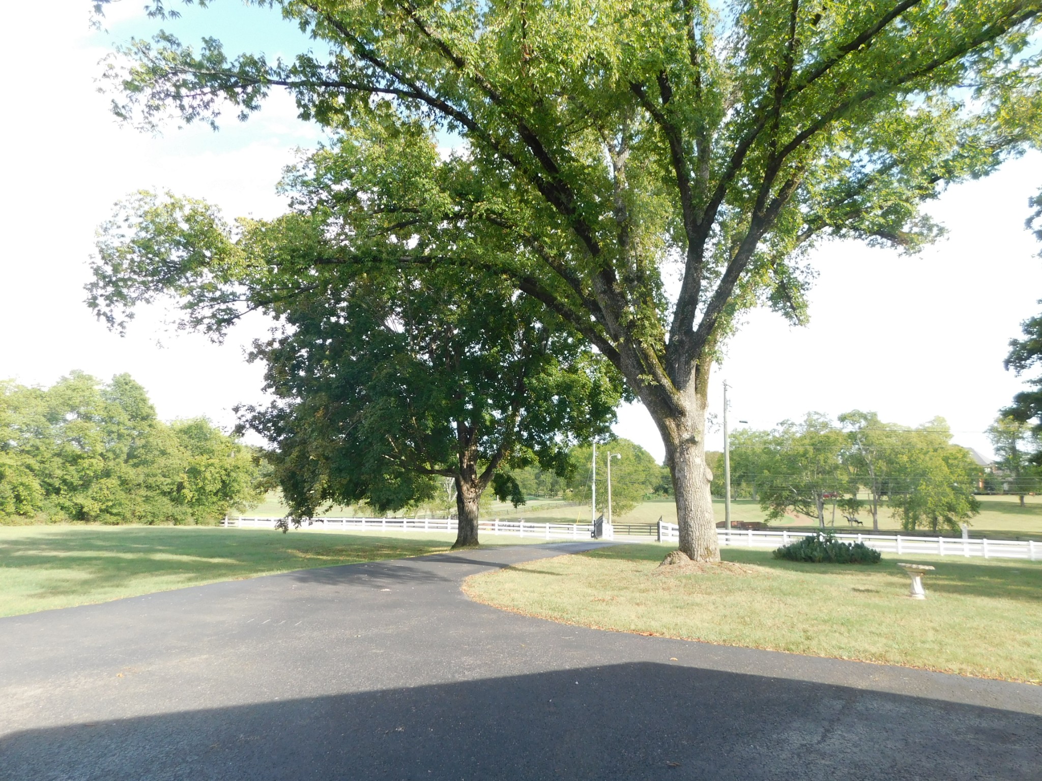 1386 Long Hollow Pike Property Photo 41