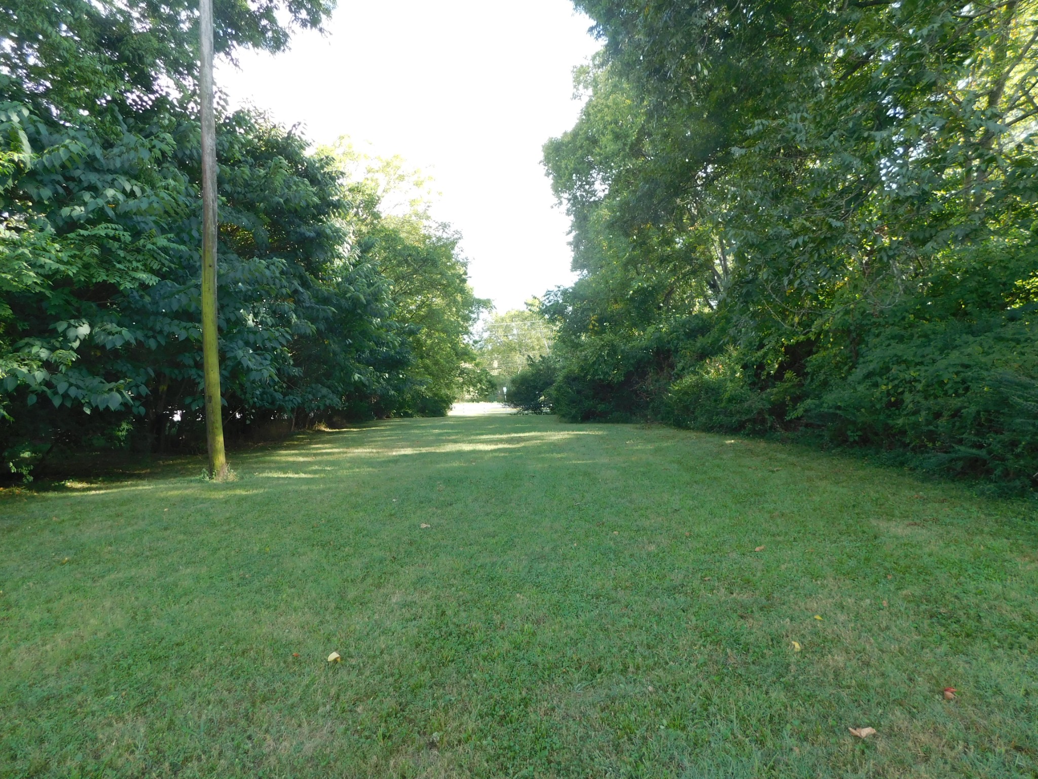 1386 Long Hollow Pike Property Photo 42